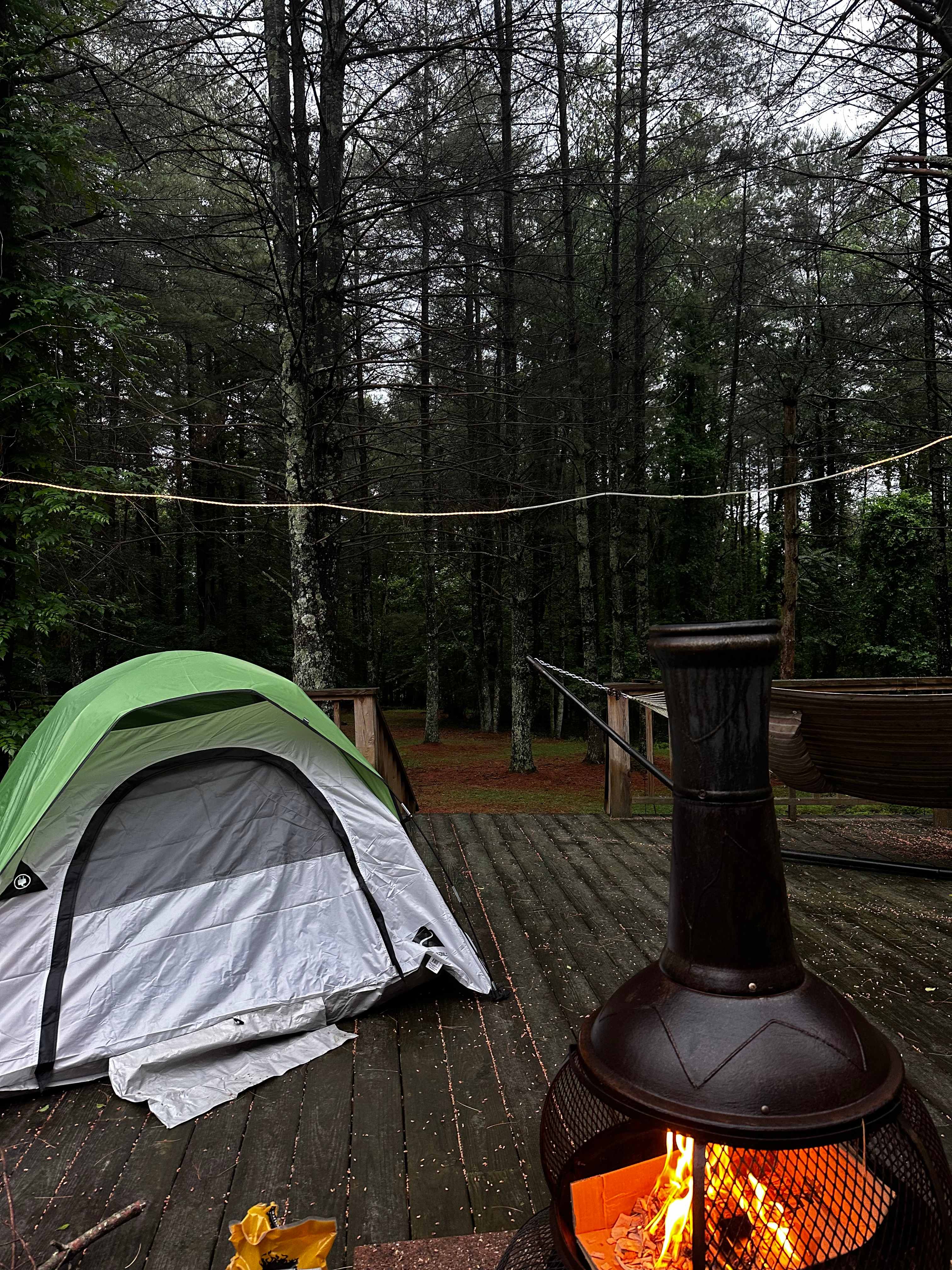 Mimi's Holler