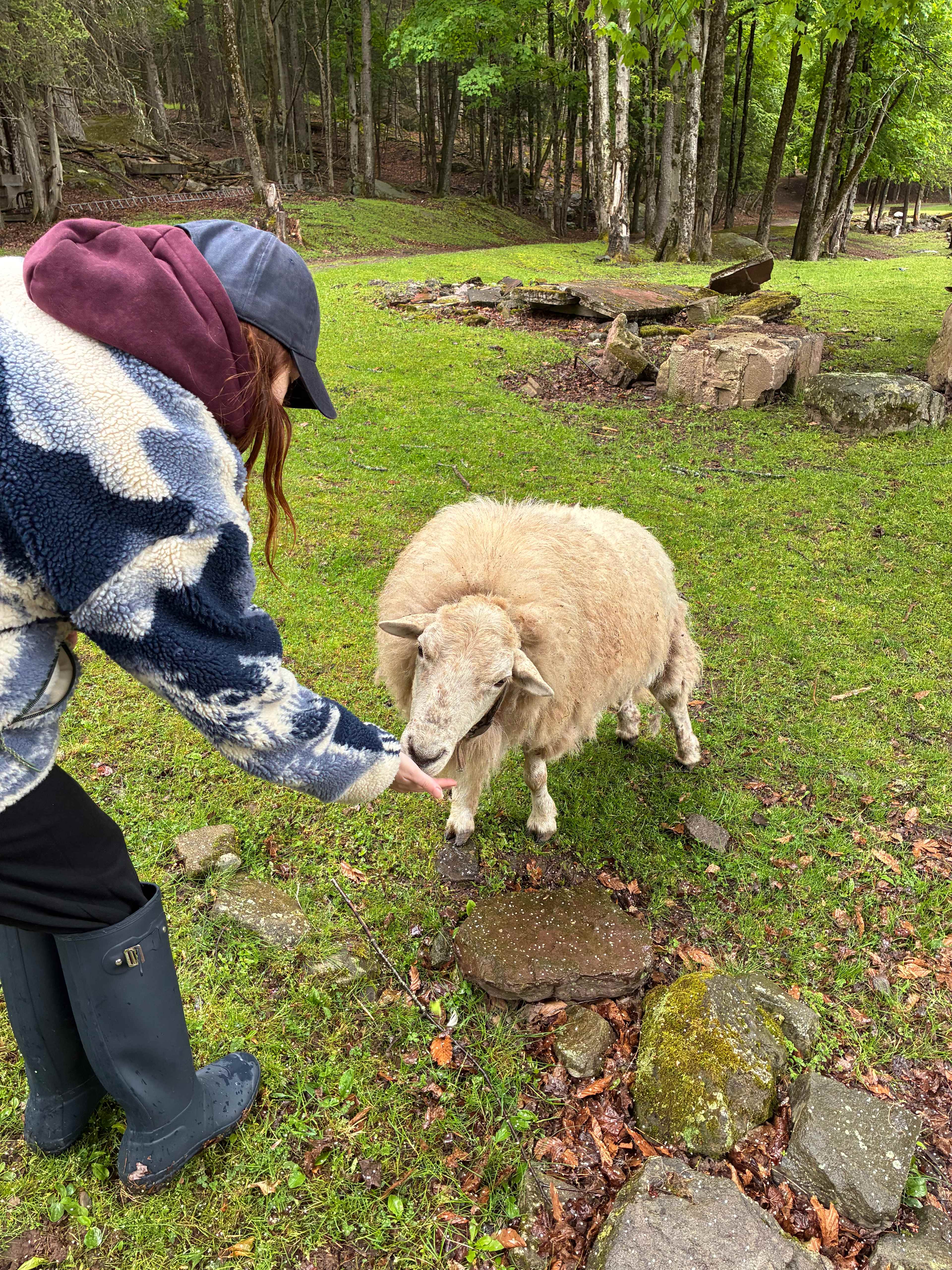 BeaverWood Farm (no children)