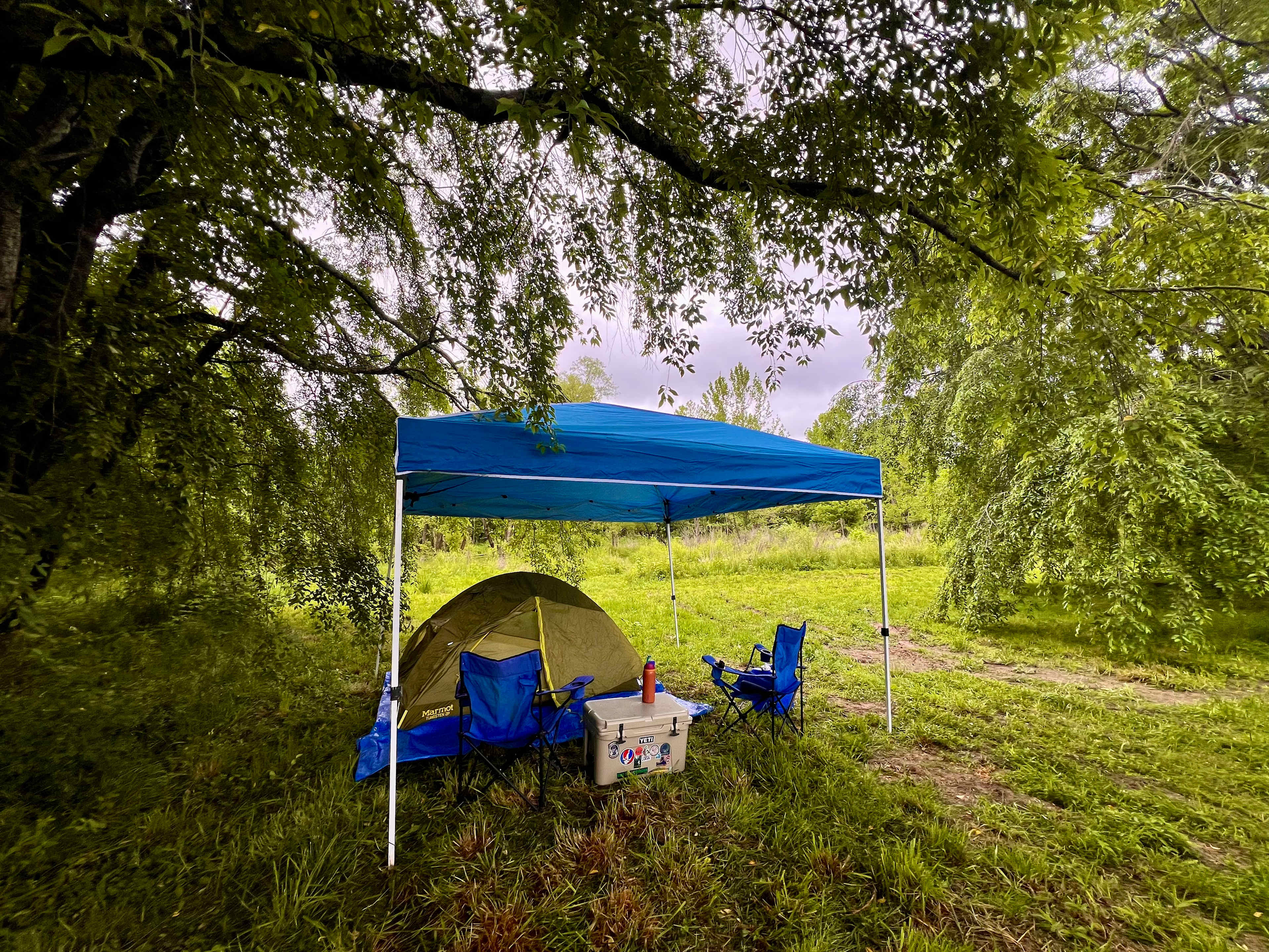 Picture of the site