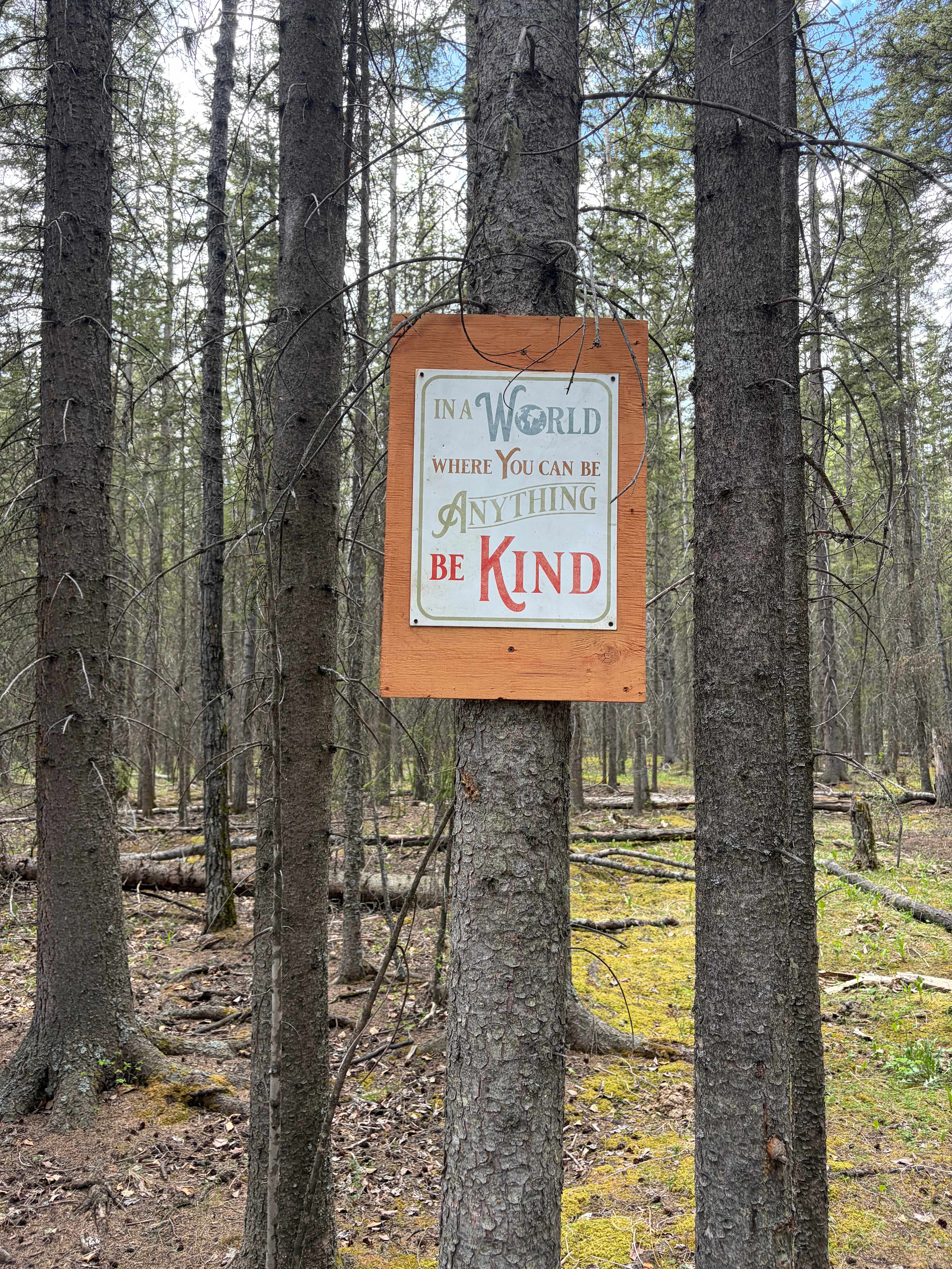 Cute little touches all over the property! 