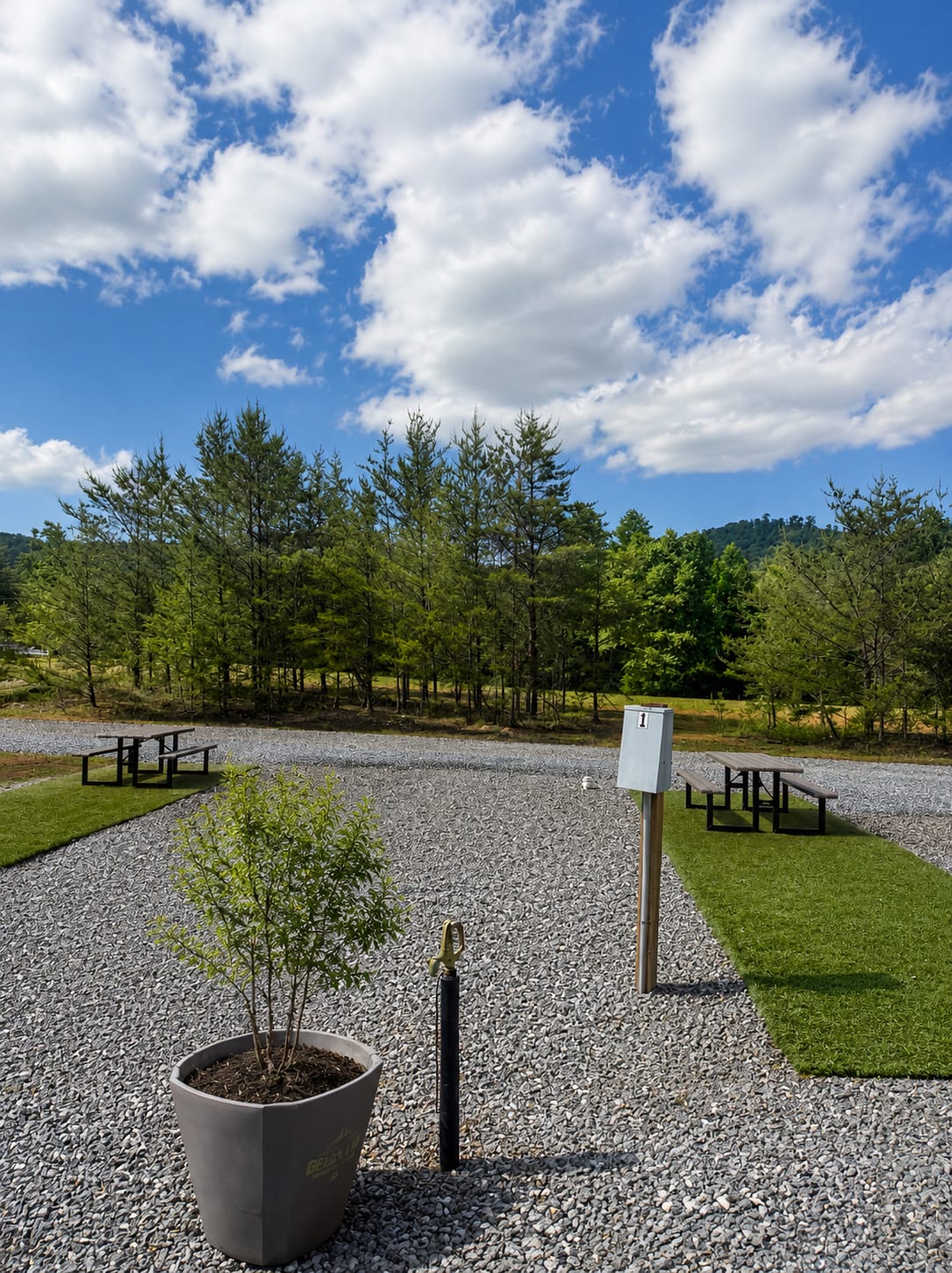 Picture of the site