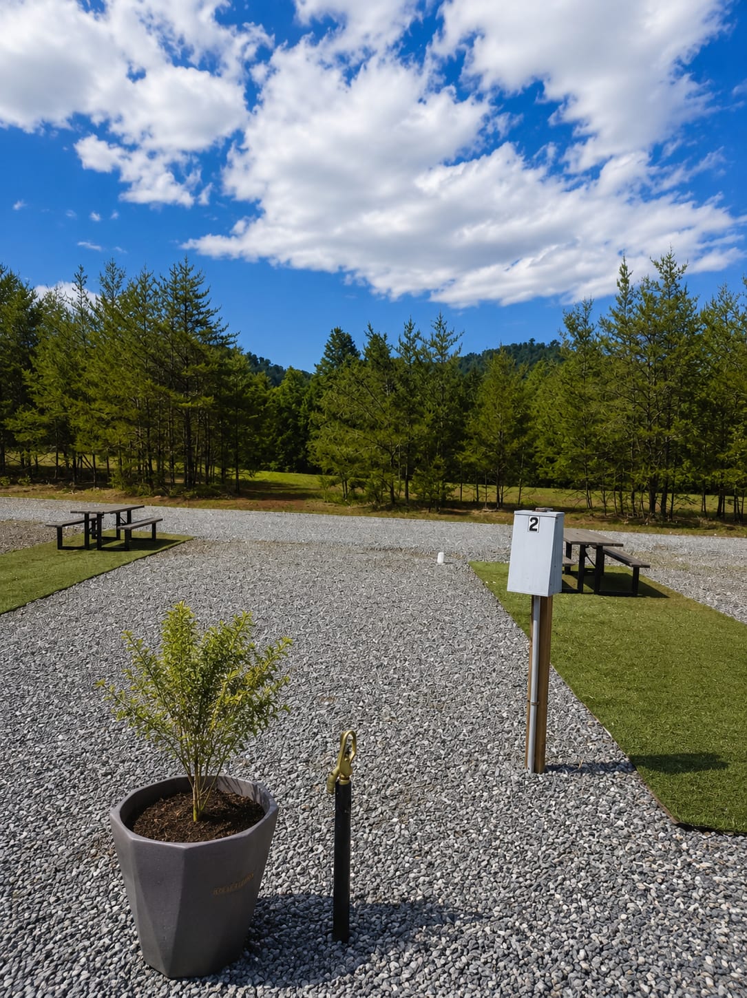 Picture of the site