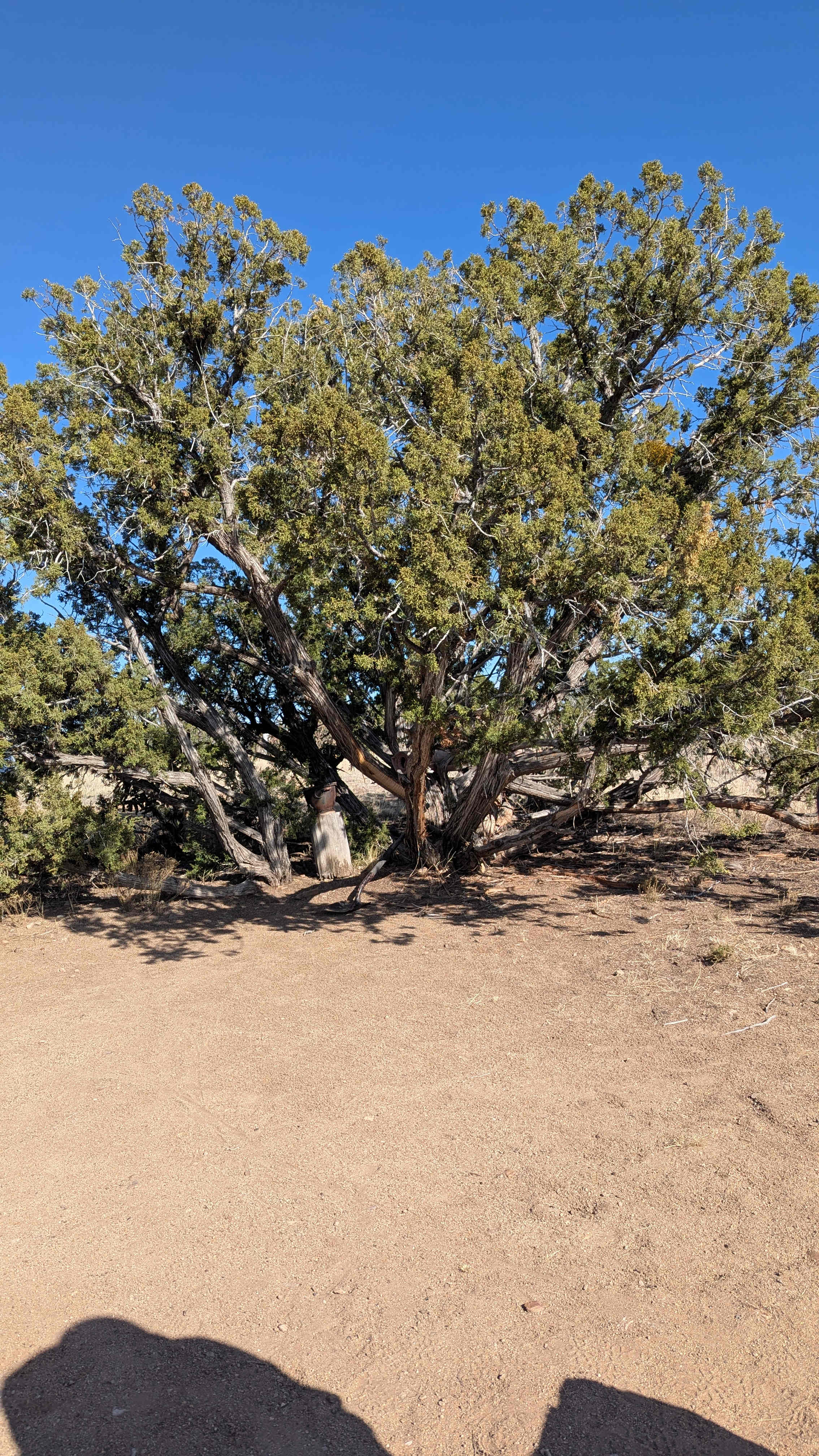 Mesa Top camping