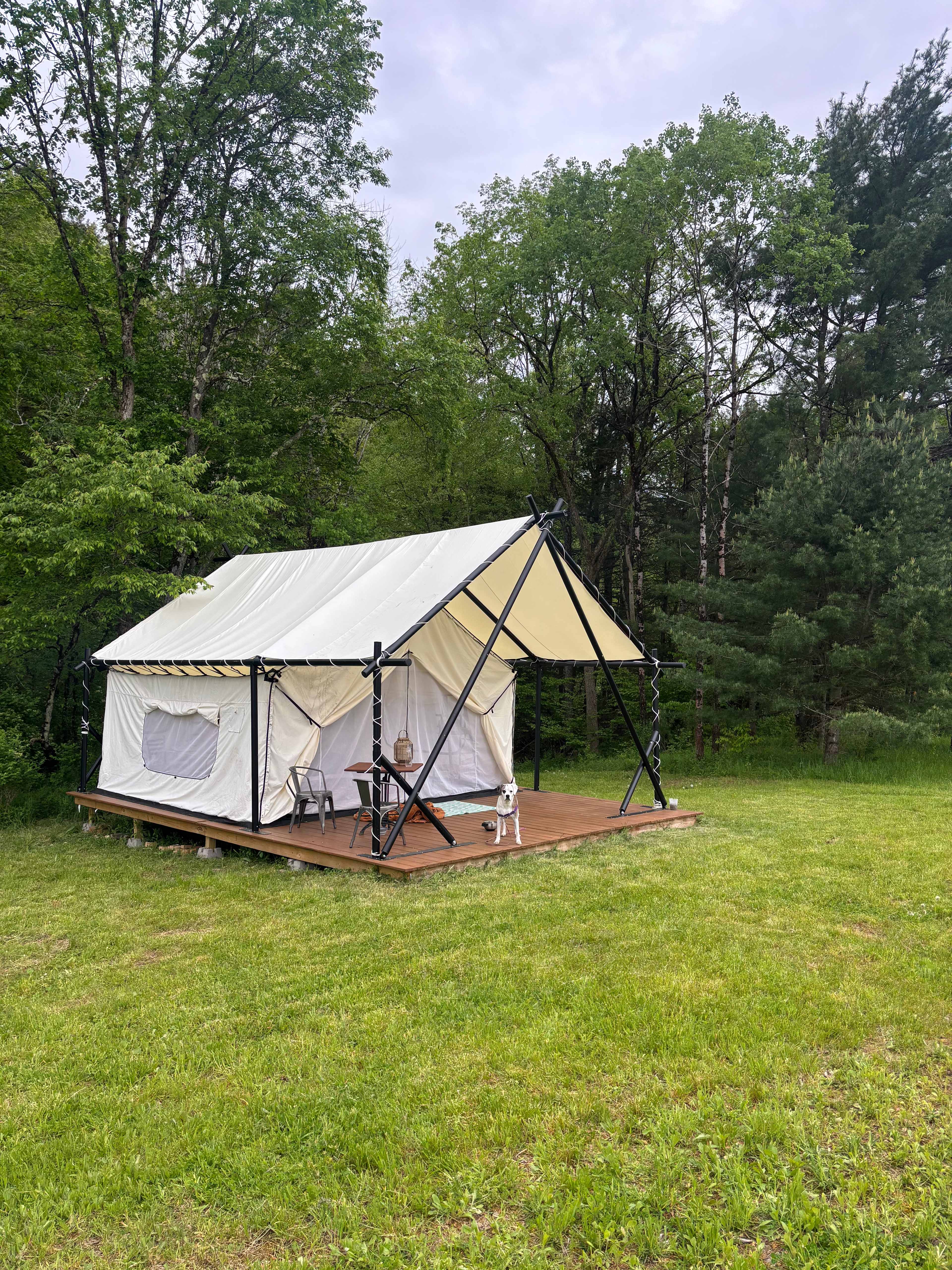 Picture of the site