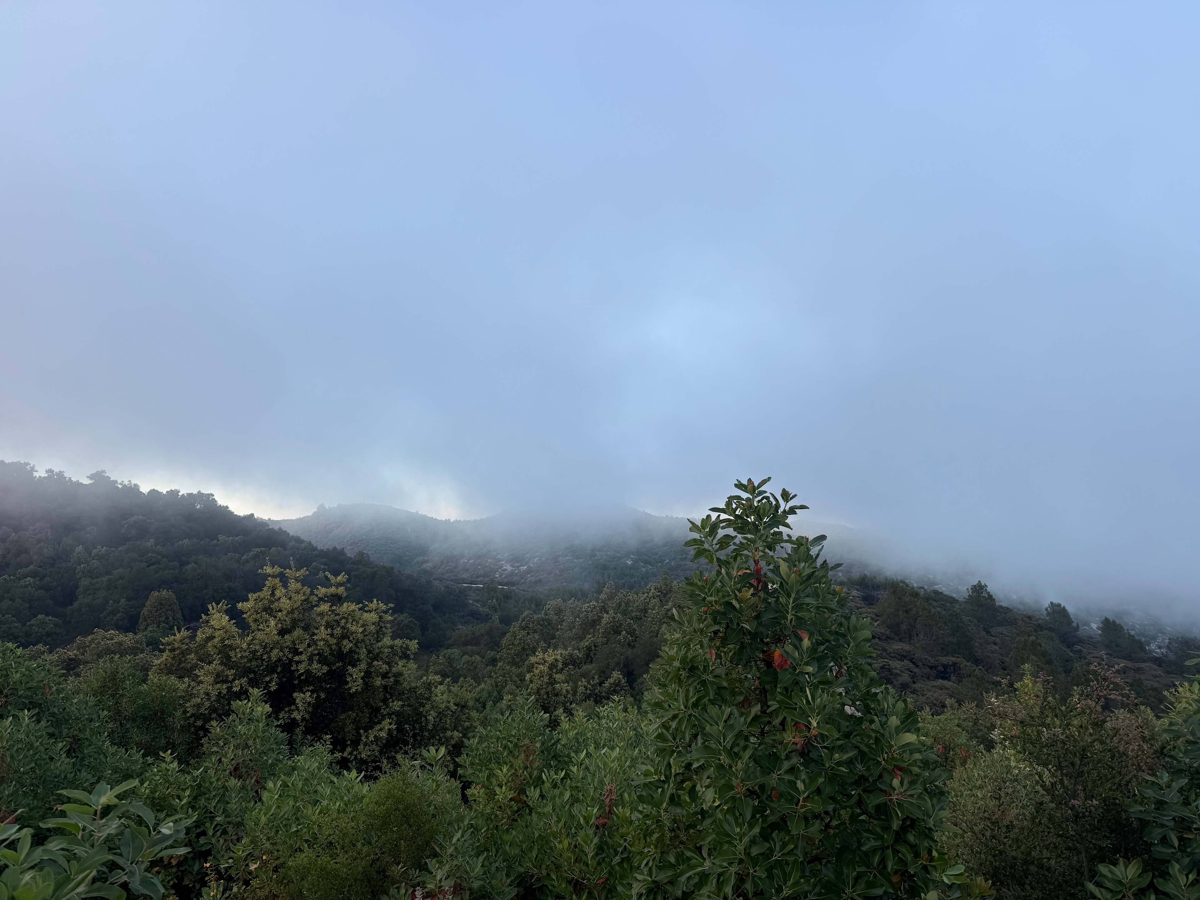 Mt Rancho (FKA La Montaña Ranch)