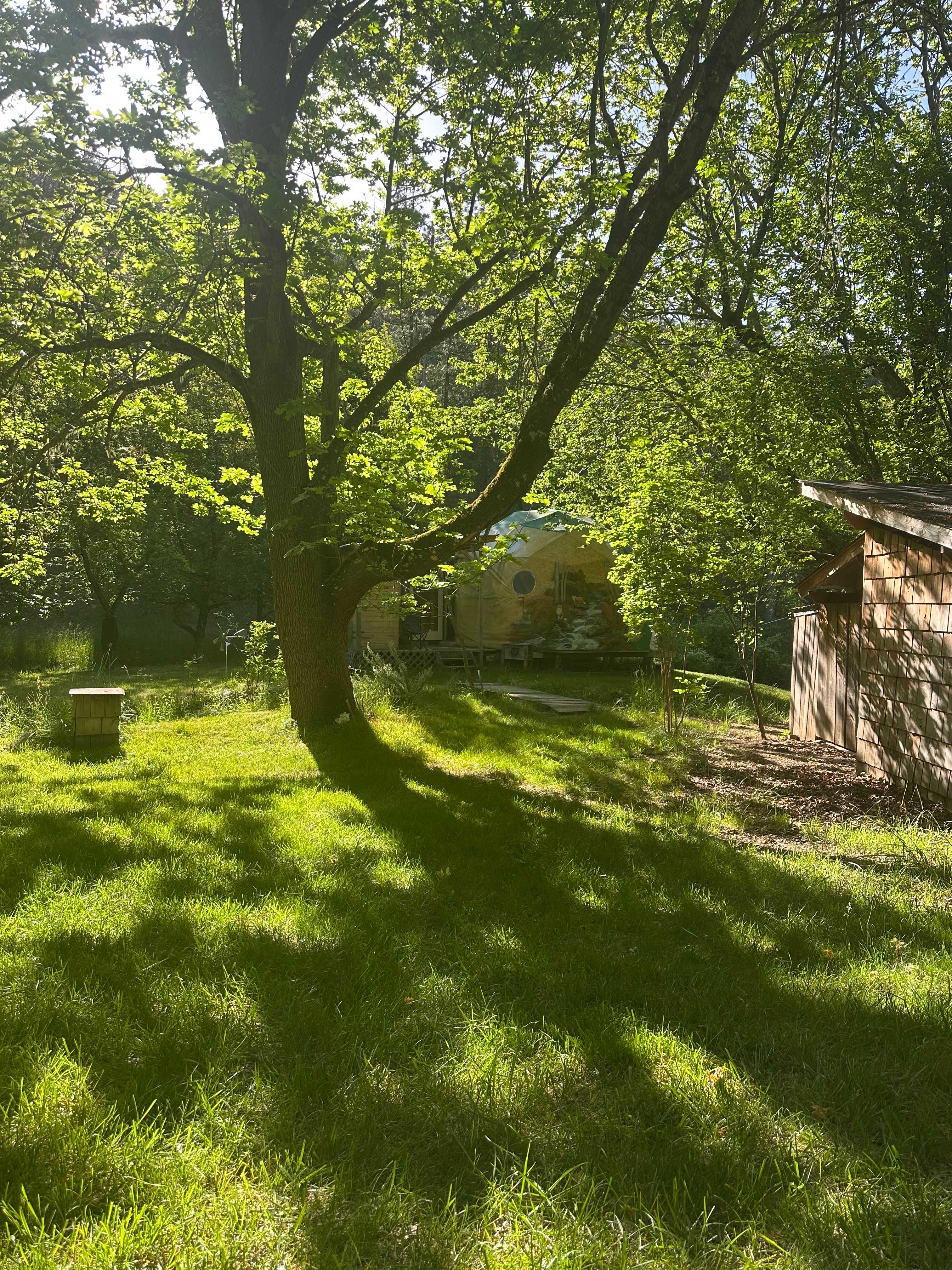 Trillium Wilderness Retreat