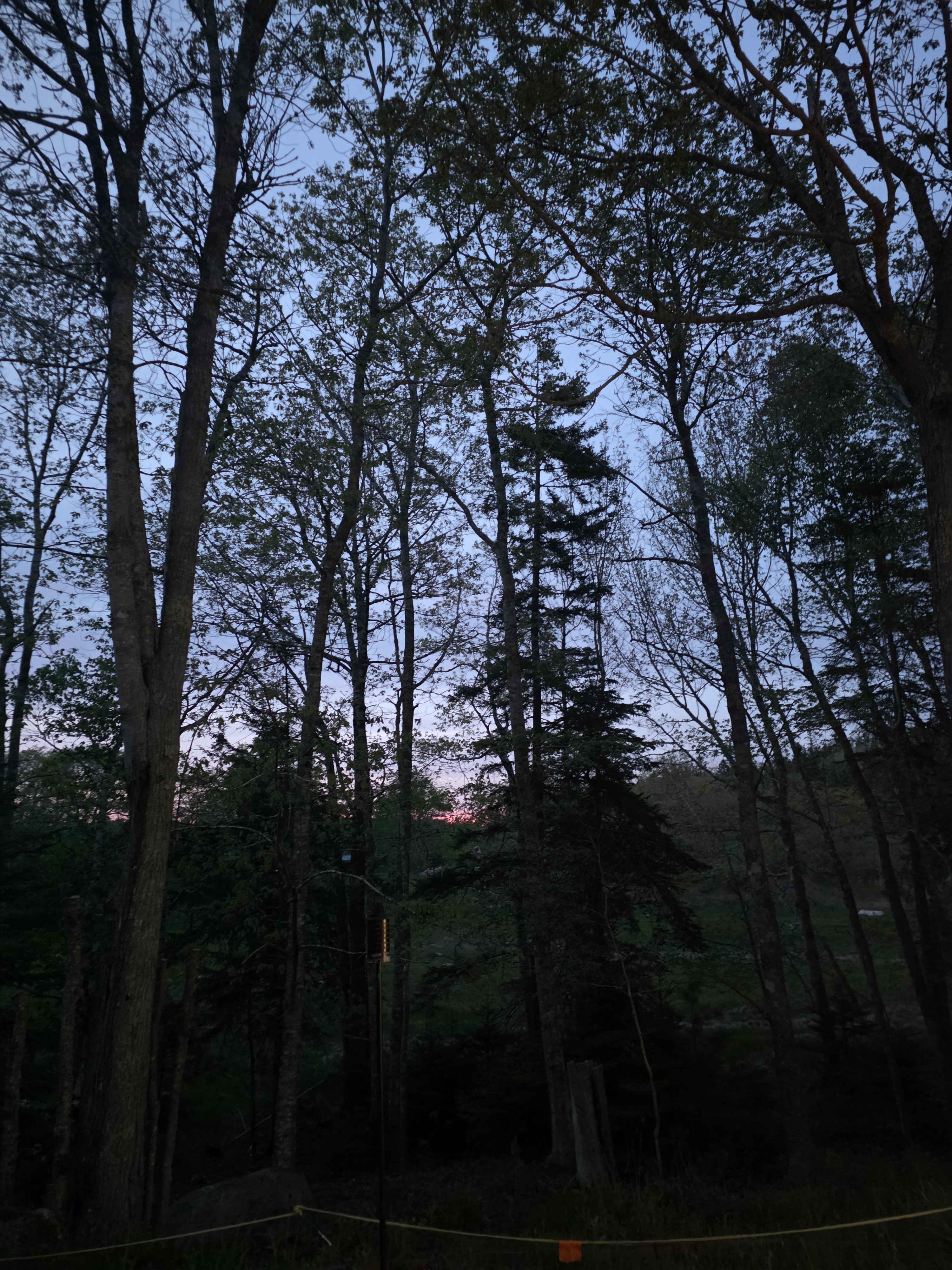 Moreyville Camp Ground