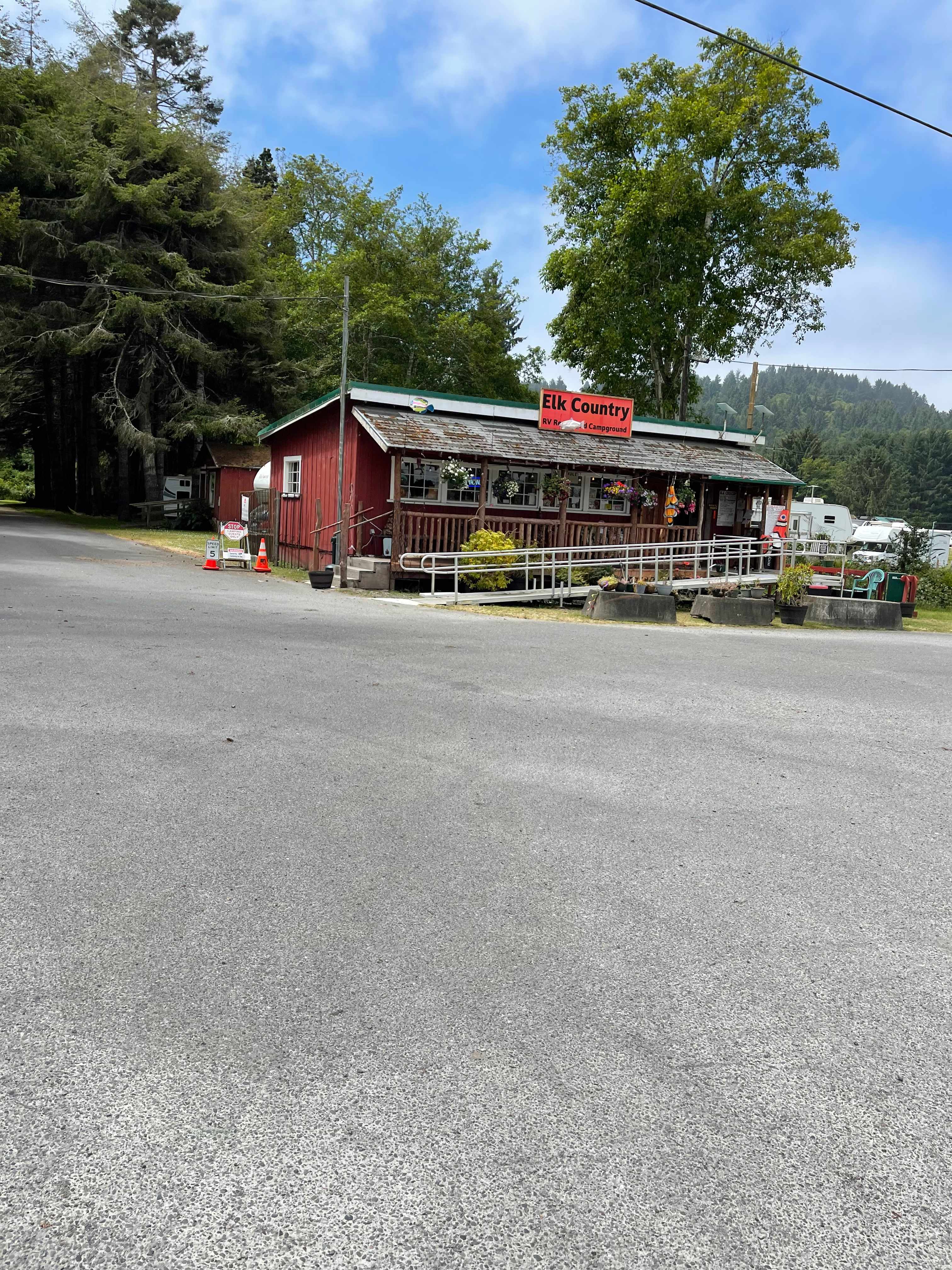 Picture of the site