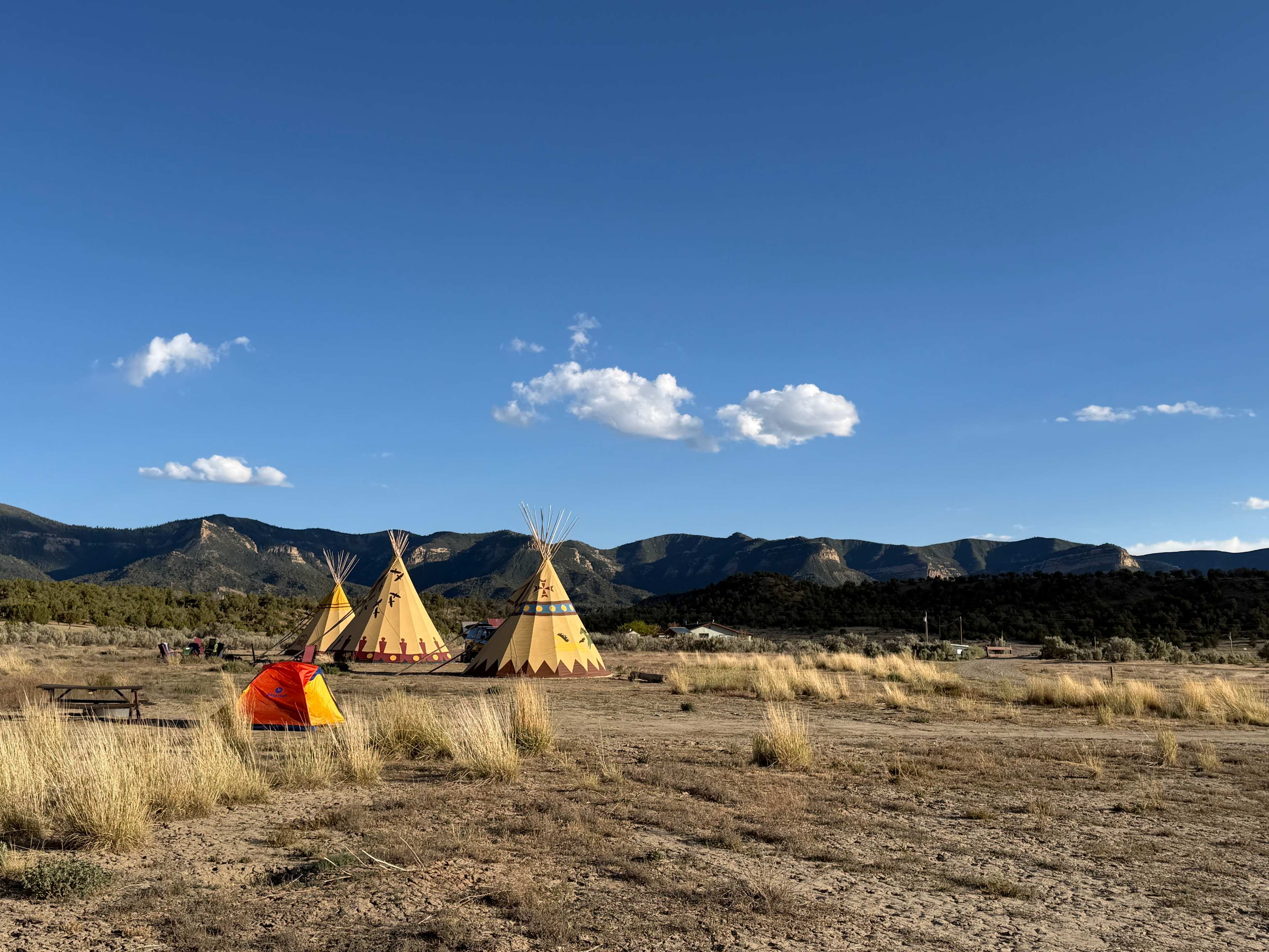 Another view from our site toward other lodgings on the property.