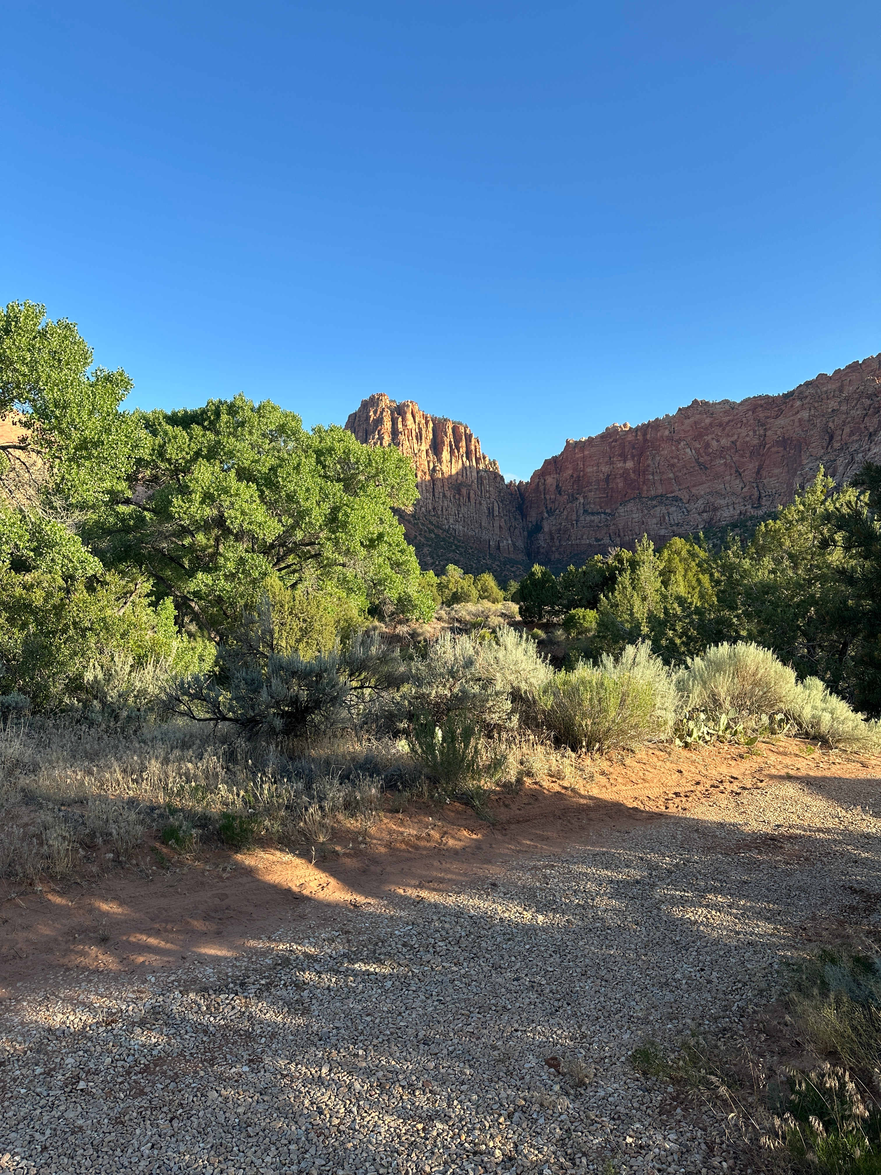 Cozy Cabins In The Heart Of Zion