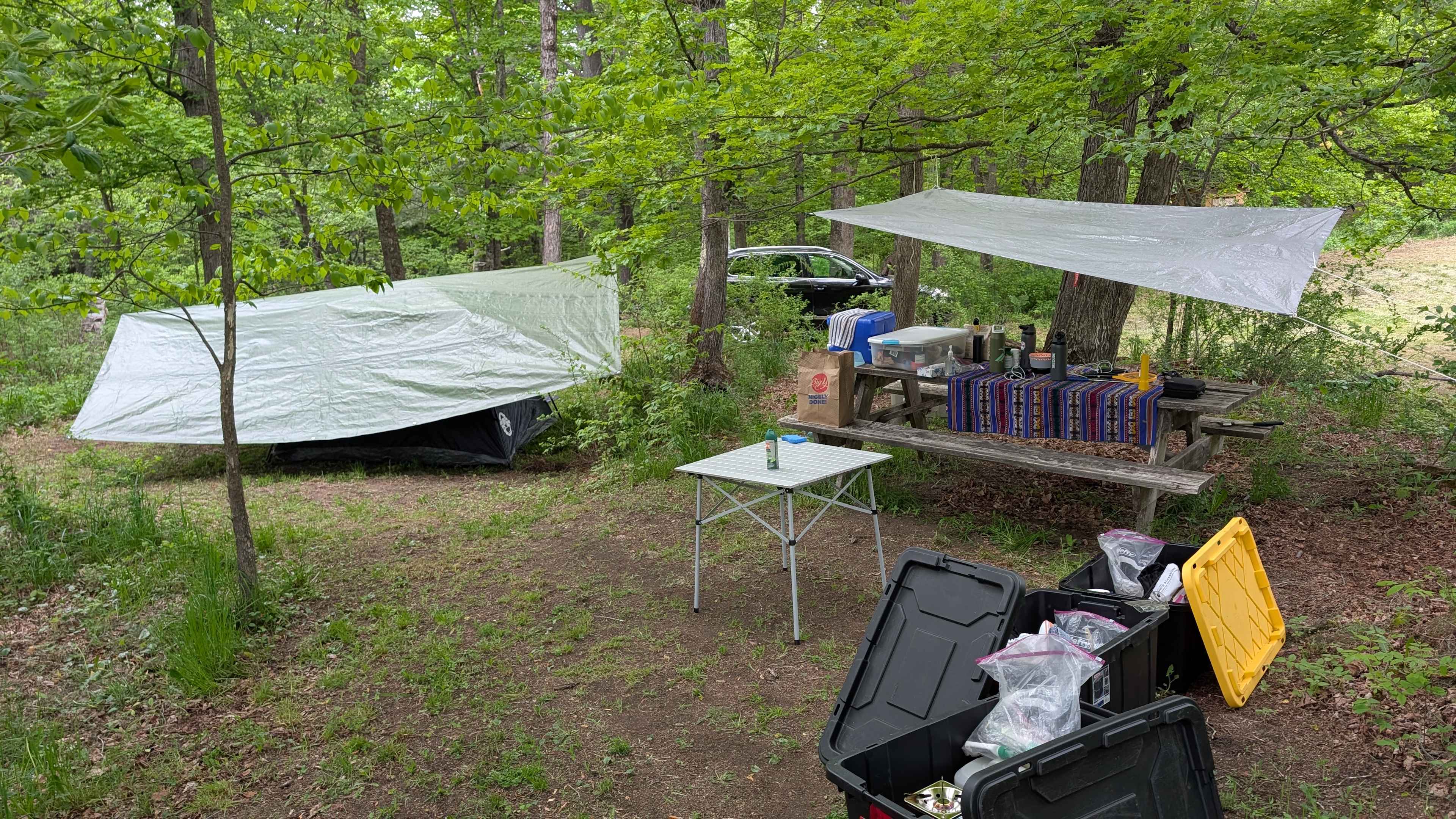 Sugar Wood Meadow Camping