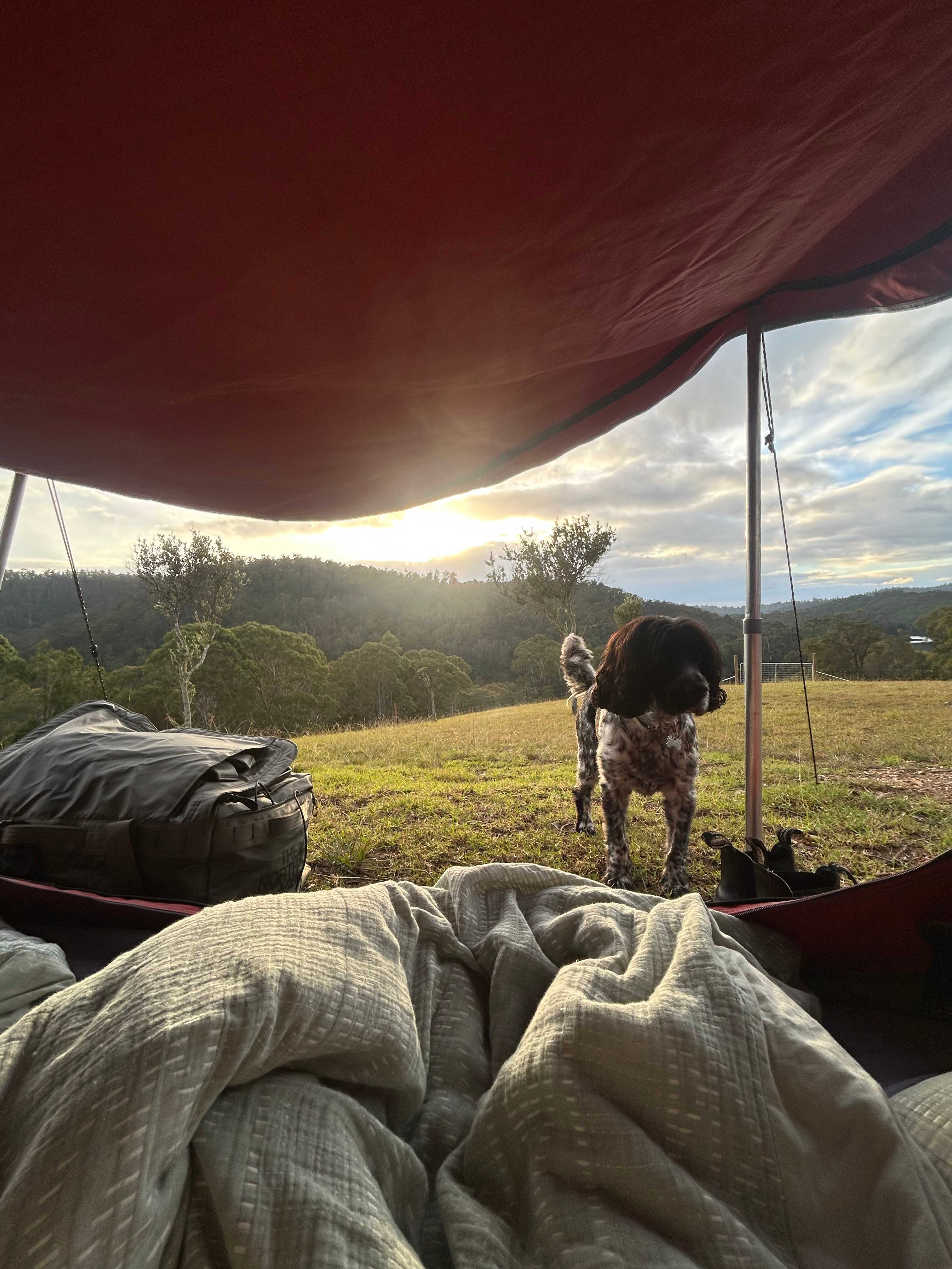 Pepper’s Farmstay South Coast