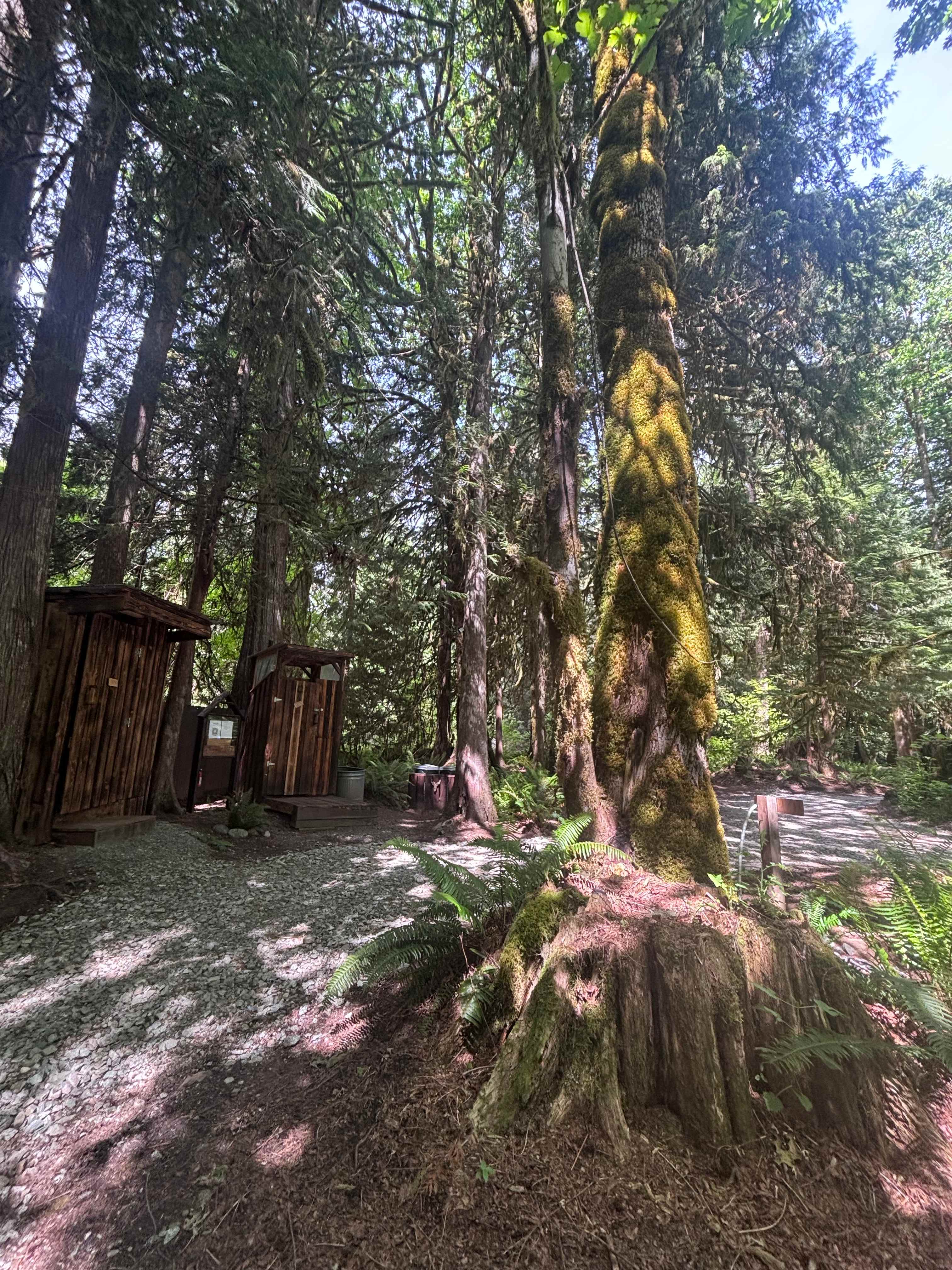 Hideaway cedars campground
