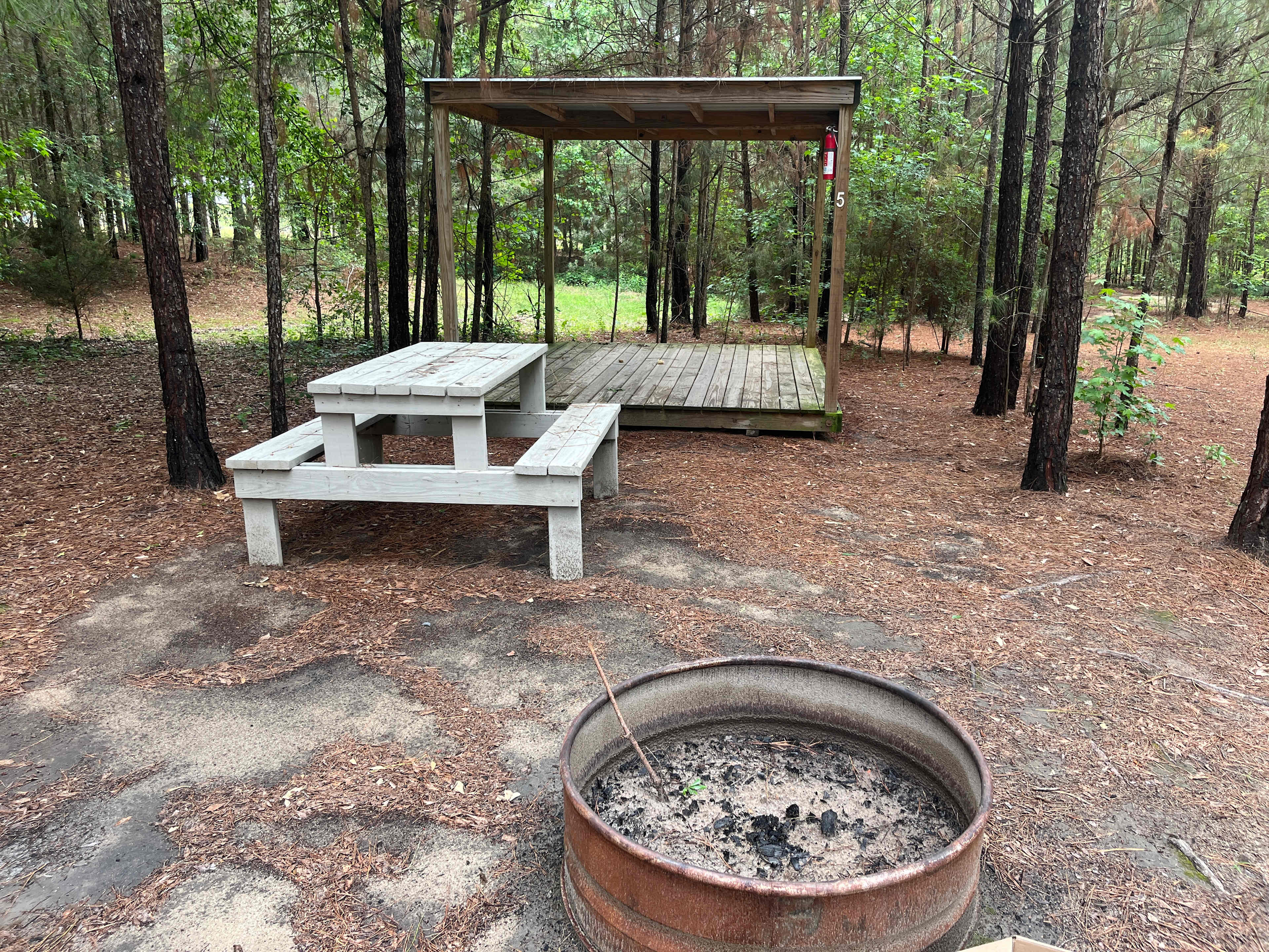 Site #5