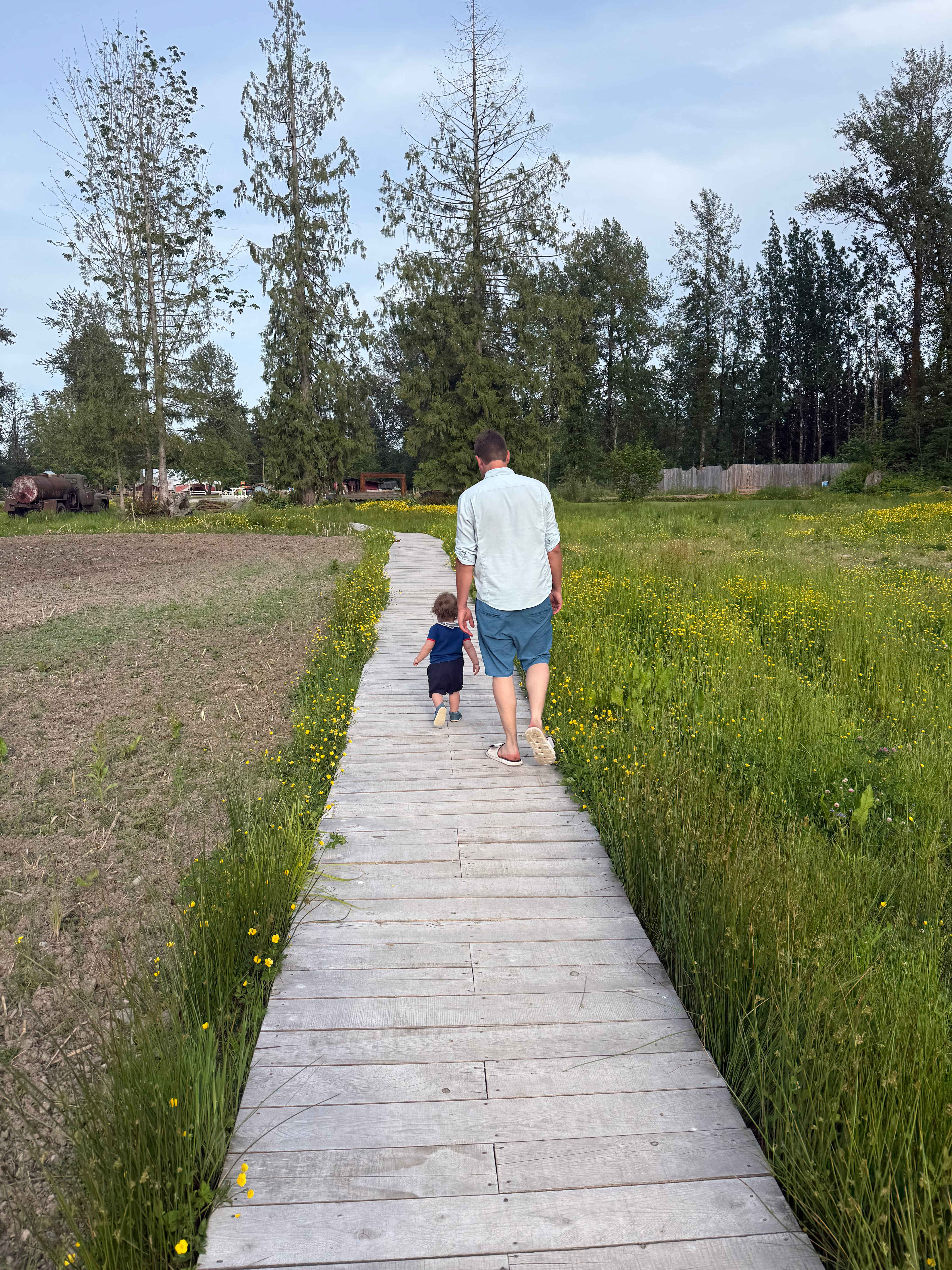 Meadows Family Farm Ltd