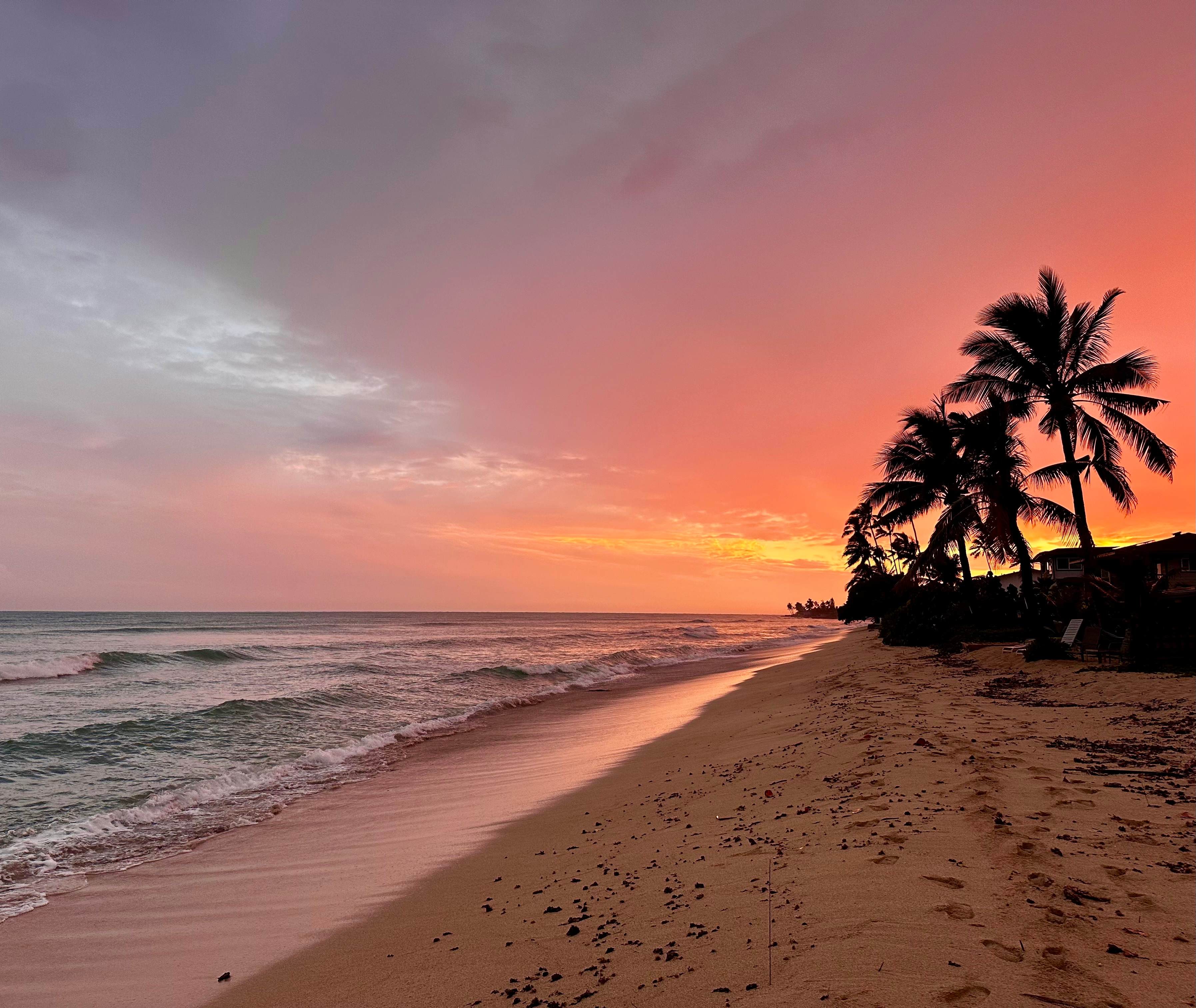 The Beach