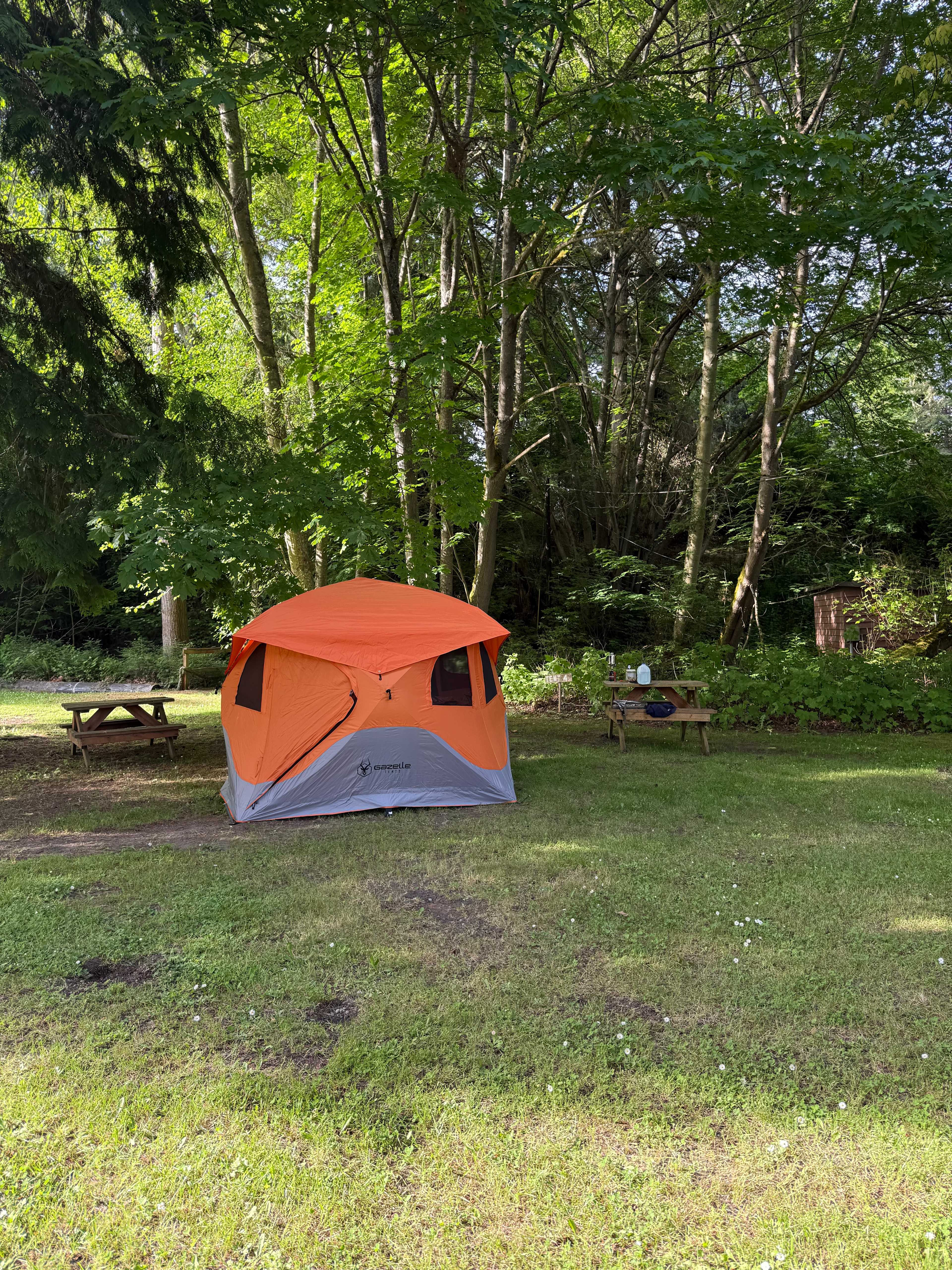 Spacious and flat ground