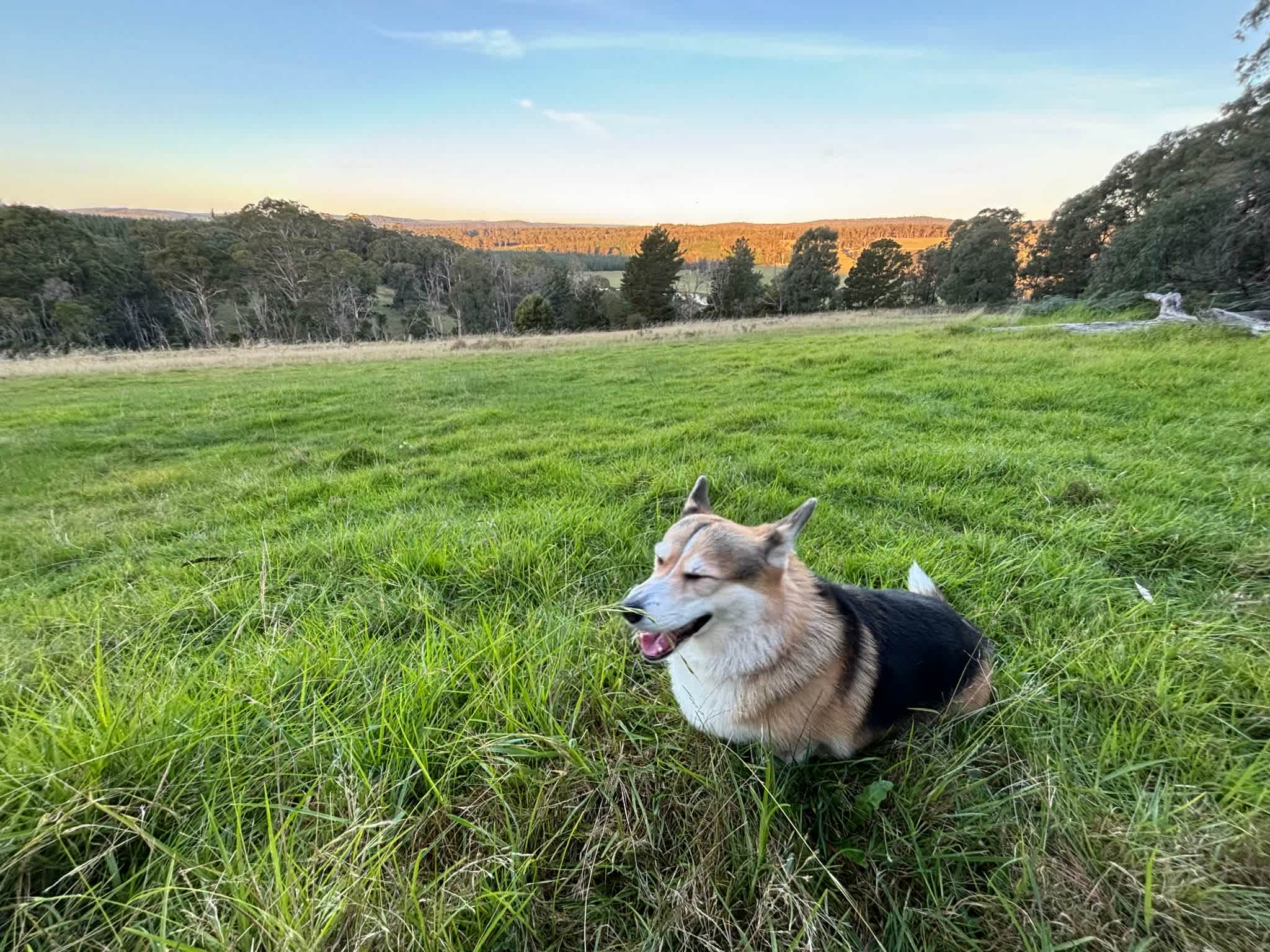 Kookaburra Ridge Farm Camp