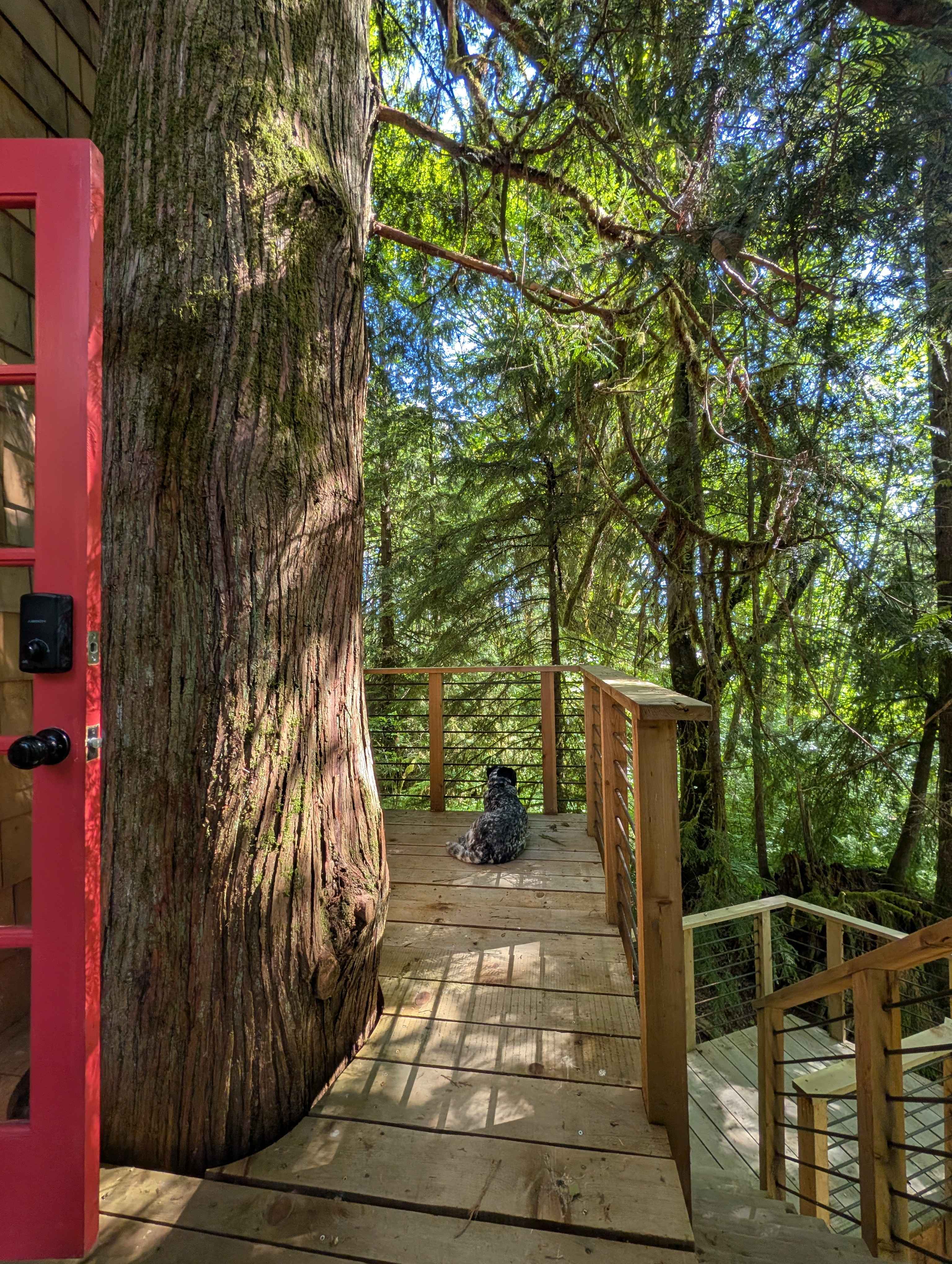 Samara Farm Treehouses