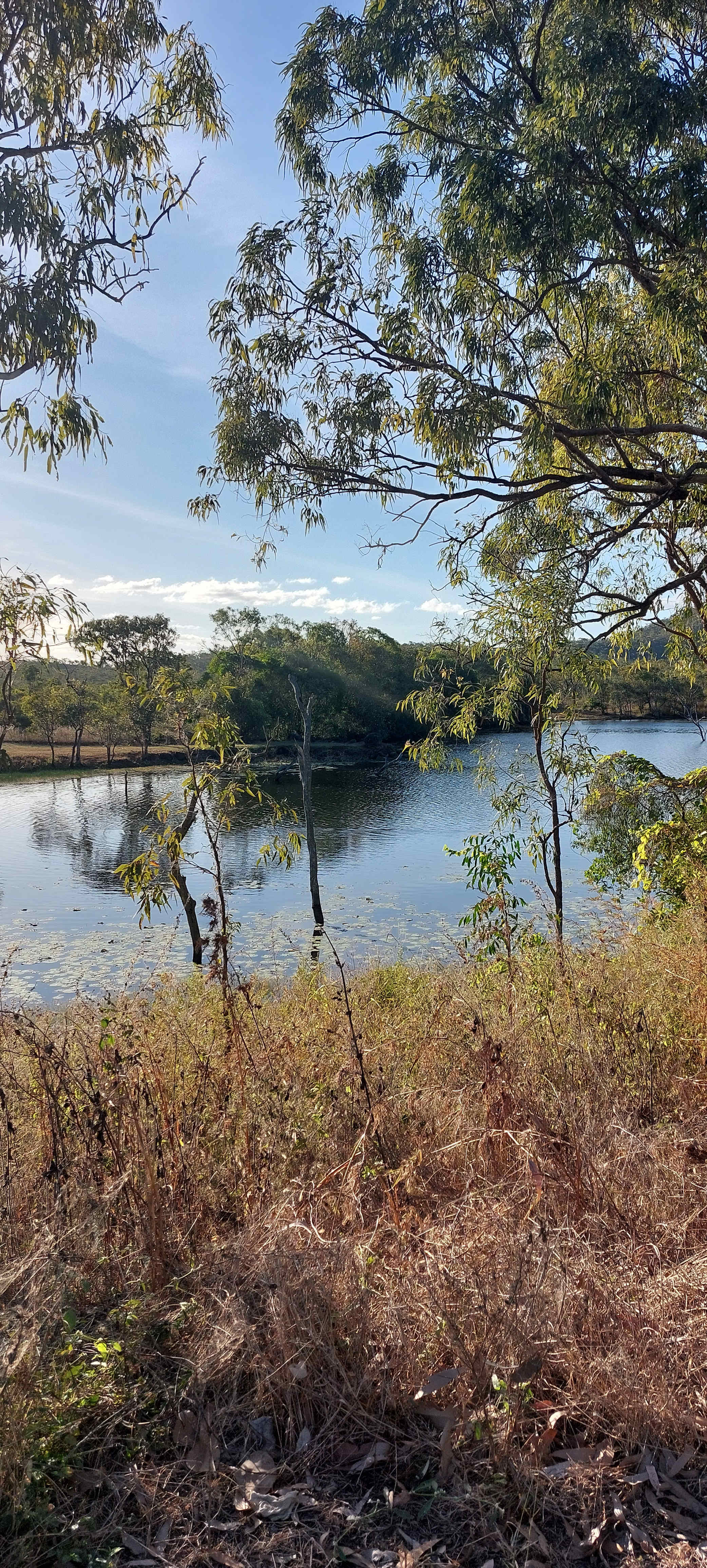 Lakeland Downs Camping