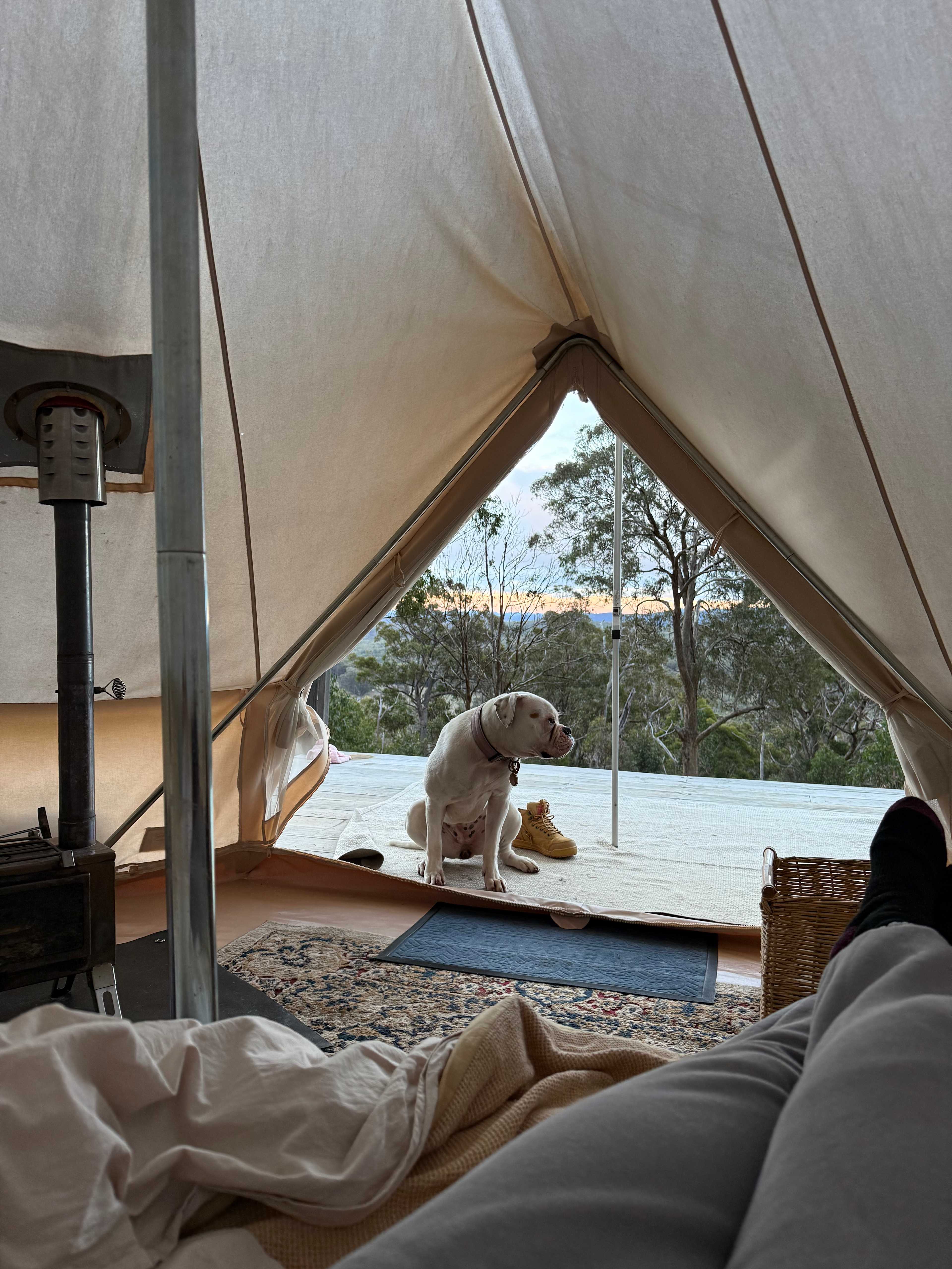 BAJIMBA Eco Camping and Farm Stay