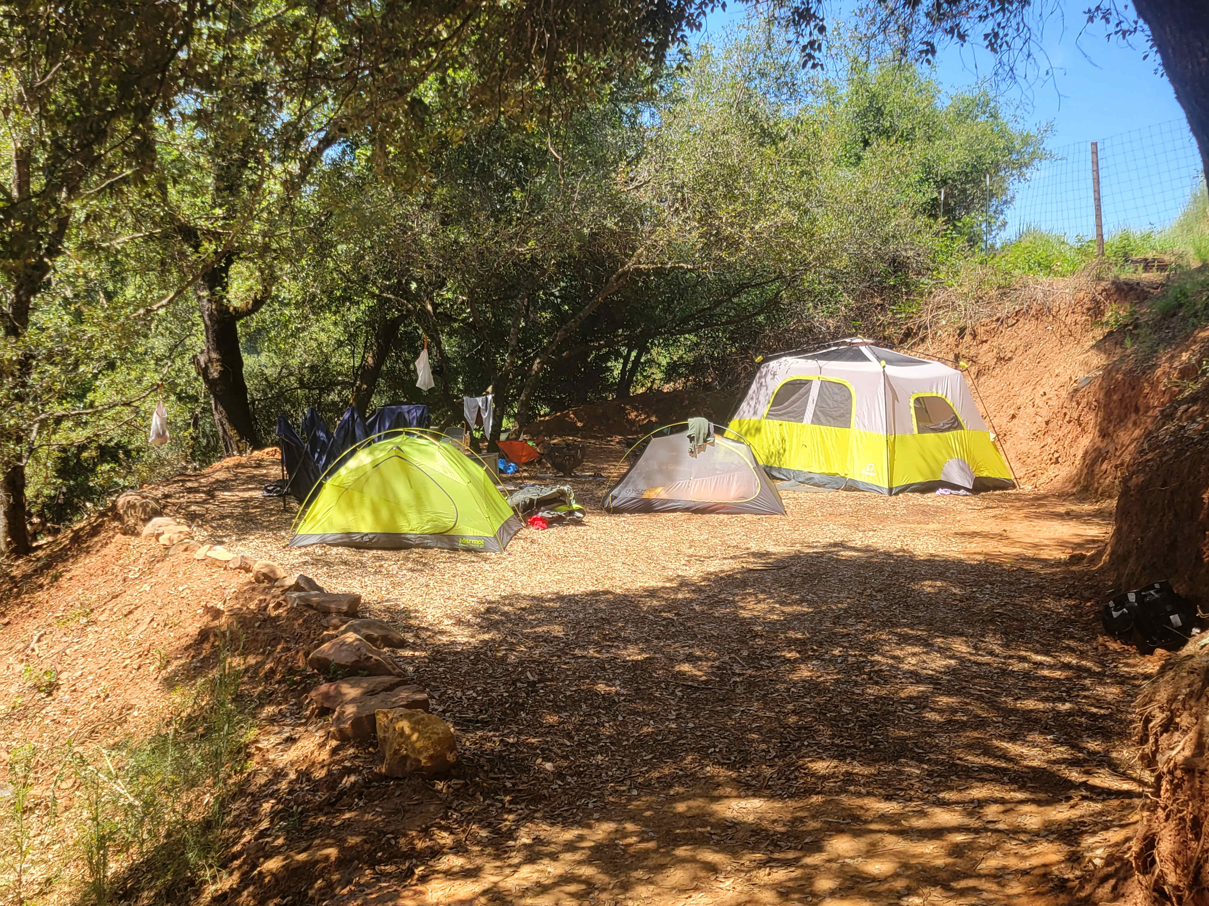 Picture of the site