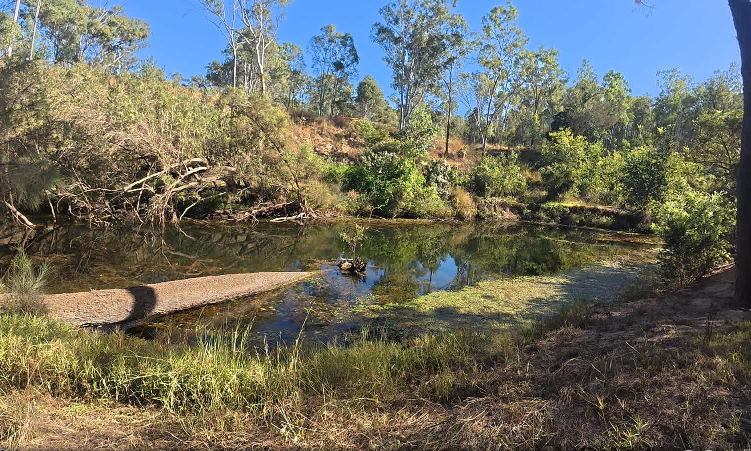 Picture of the site