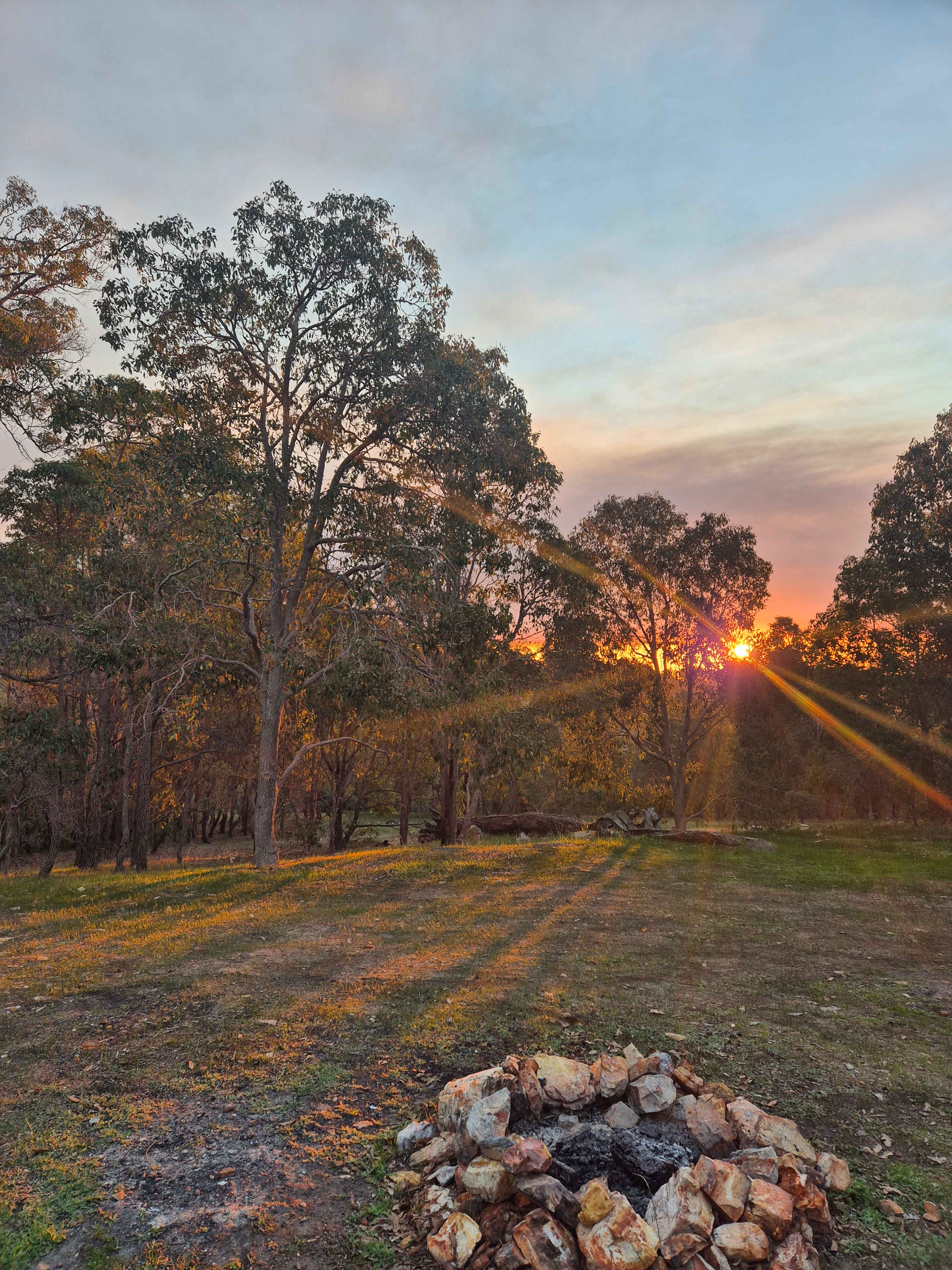 100-Acre Woods