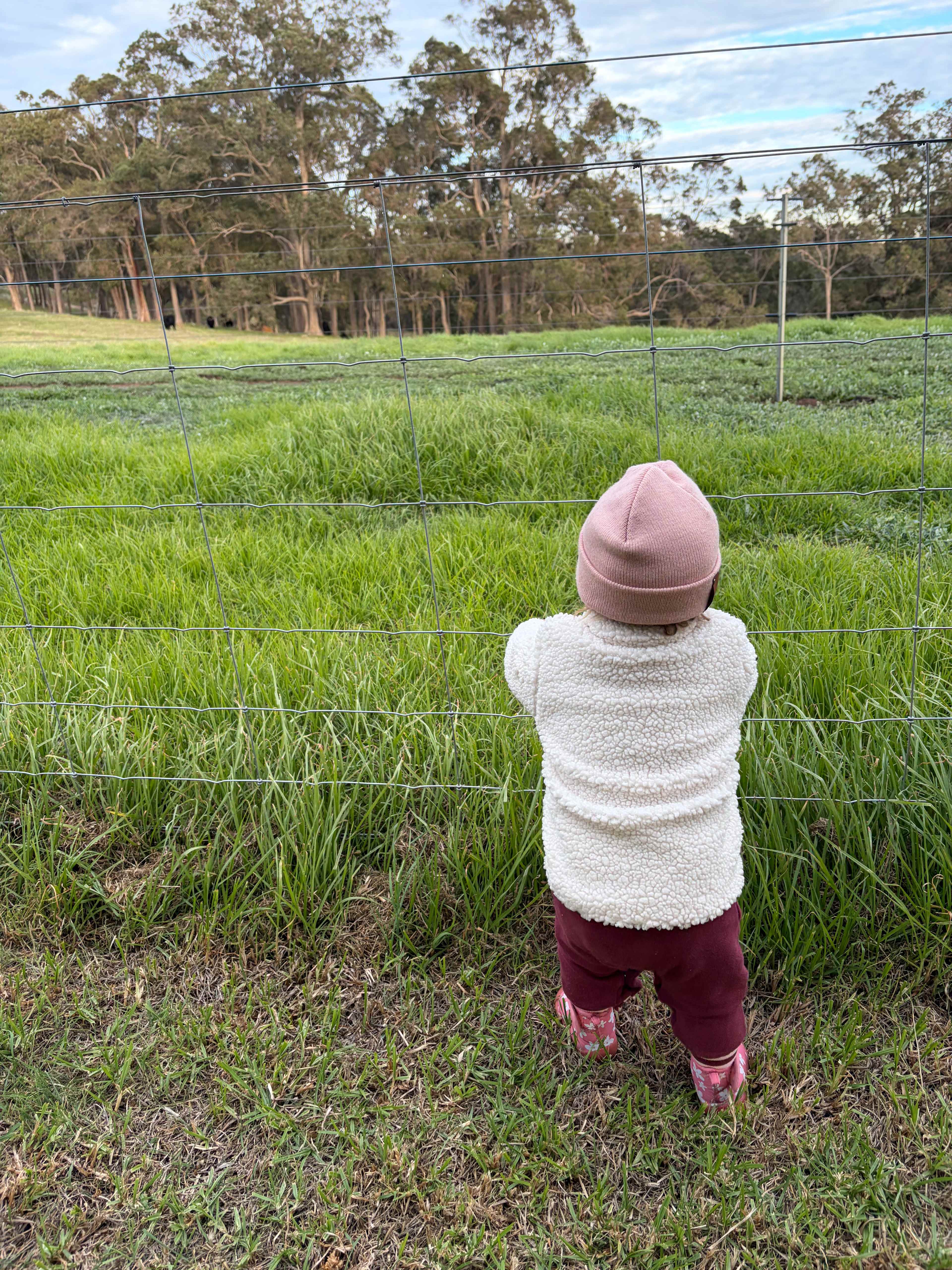 Perryland Farm