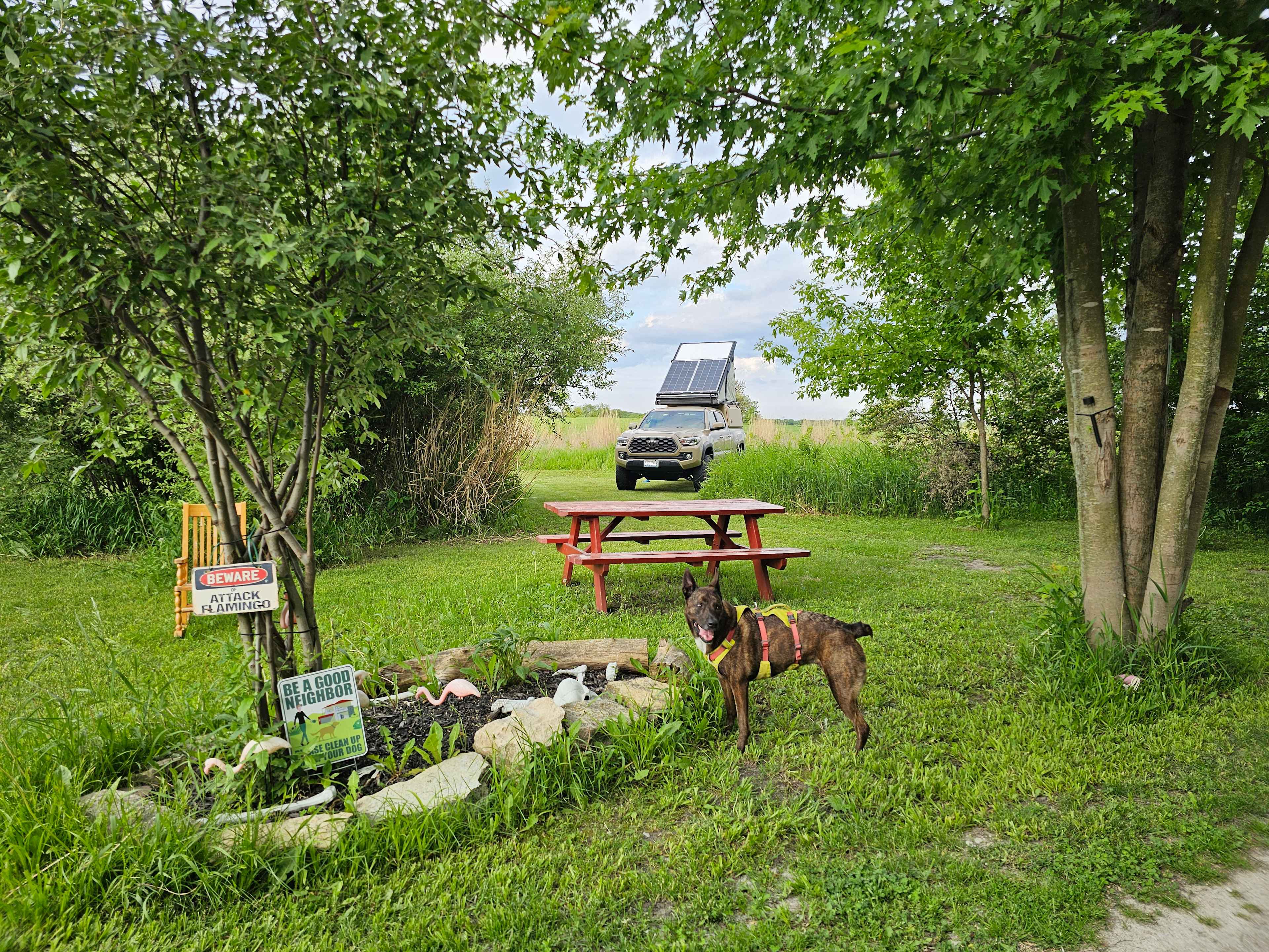 Daisy’s Farms On Notalotta Acers