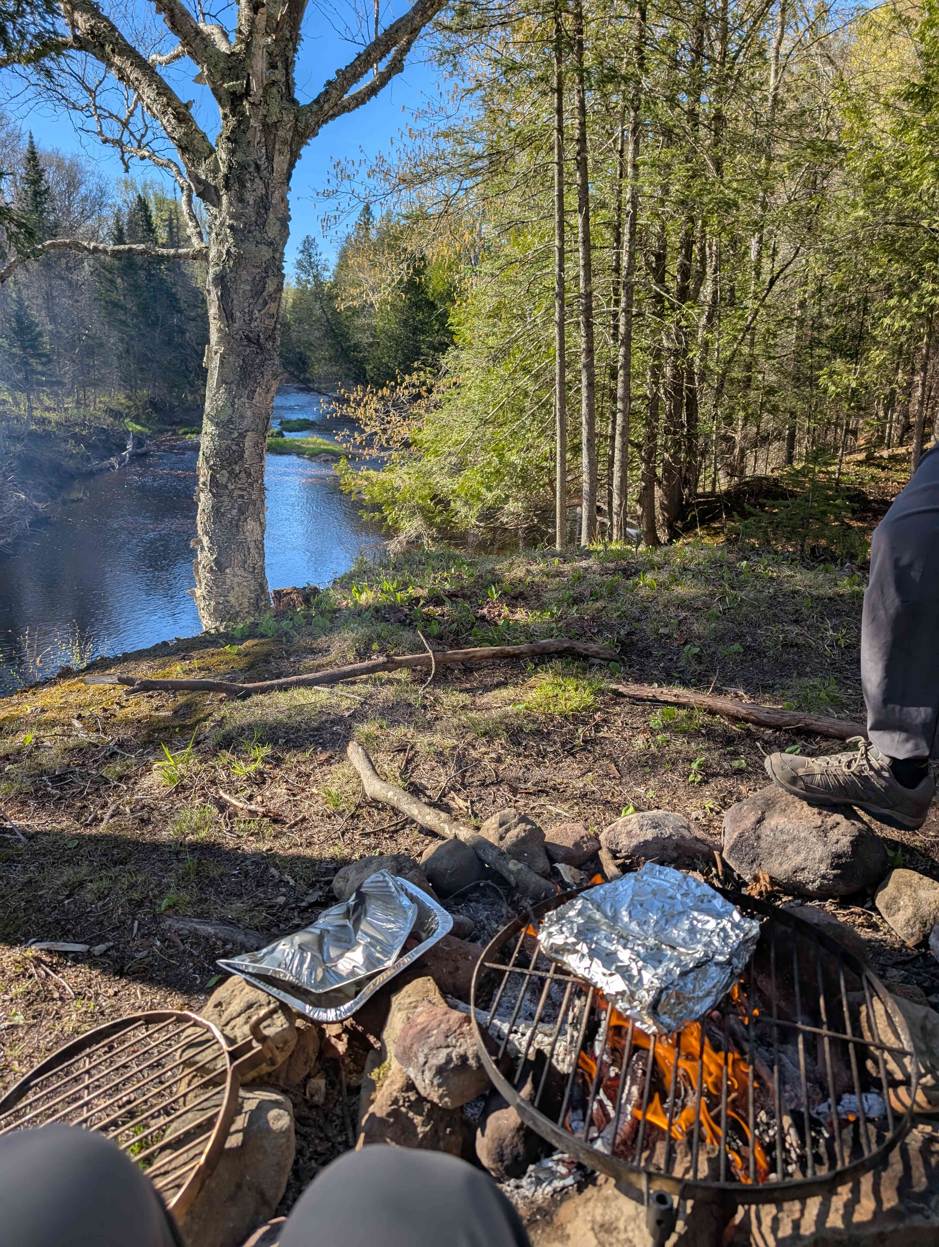 Forest Overlooking River