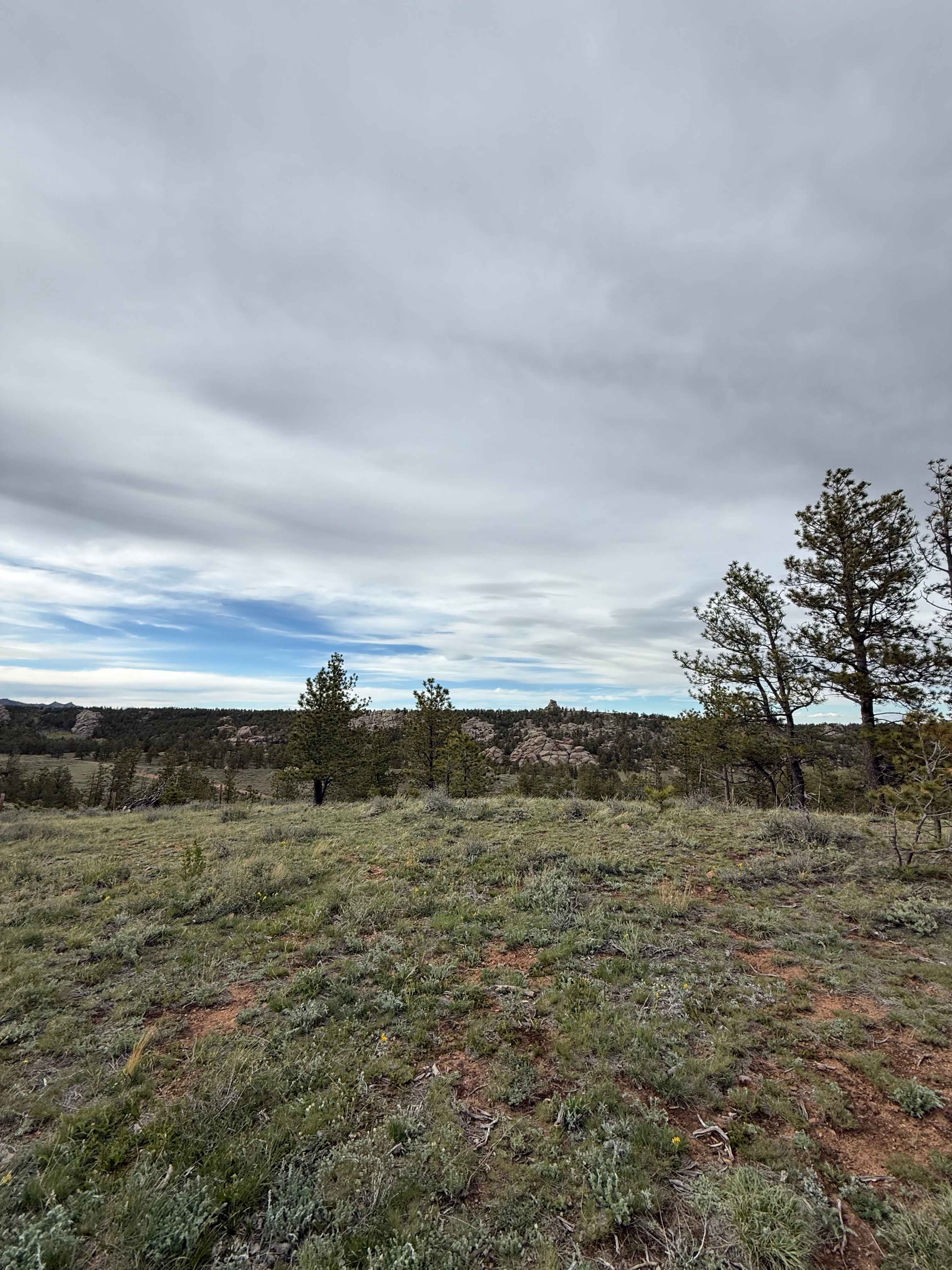 Buford Canyon