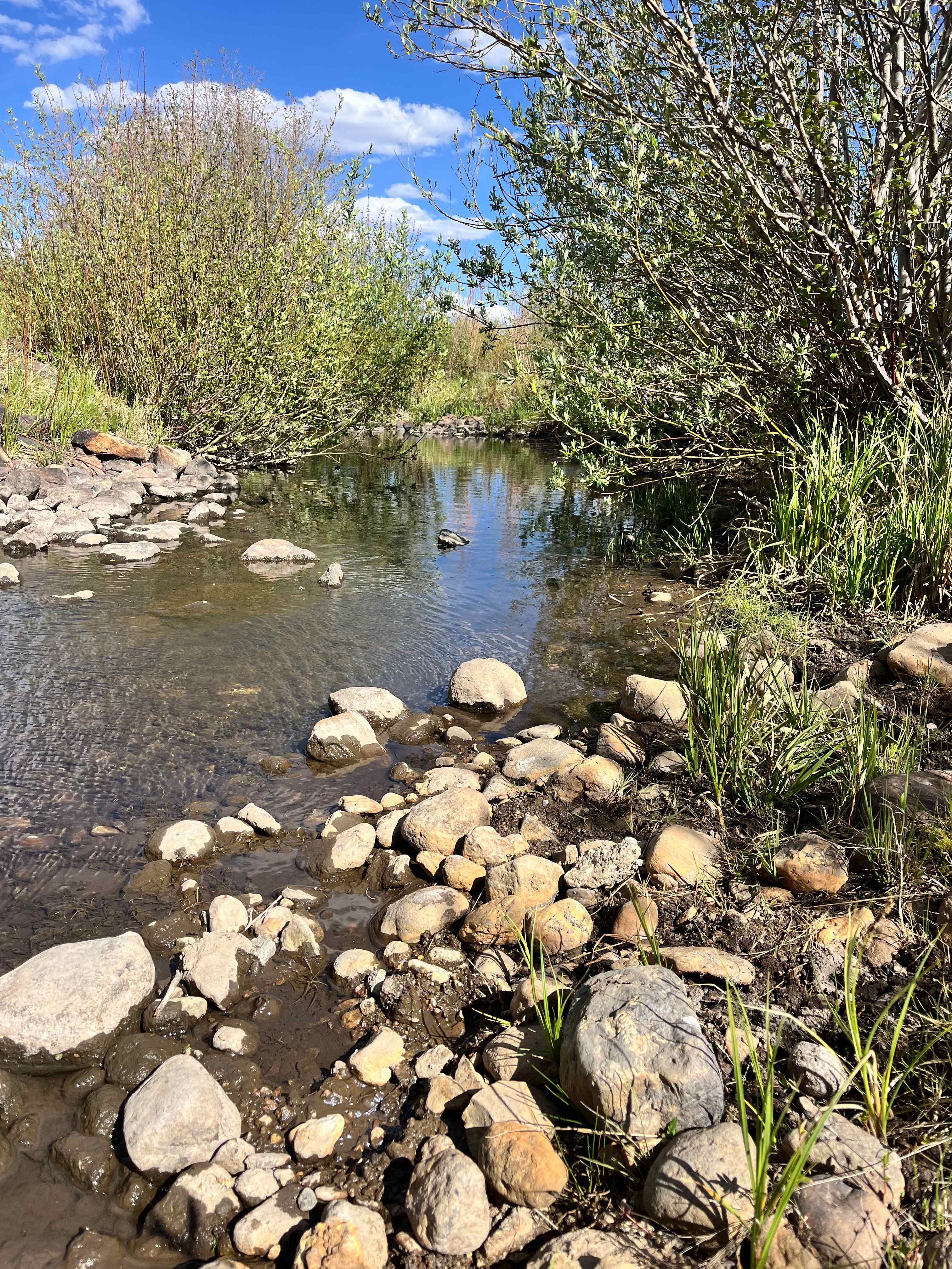 Creekside Glamping Tipis on Off-Grid, 70 Acre Working Ranch