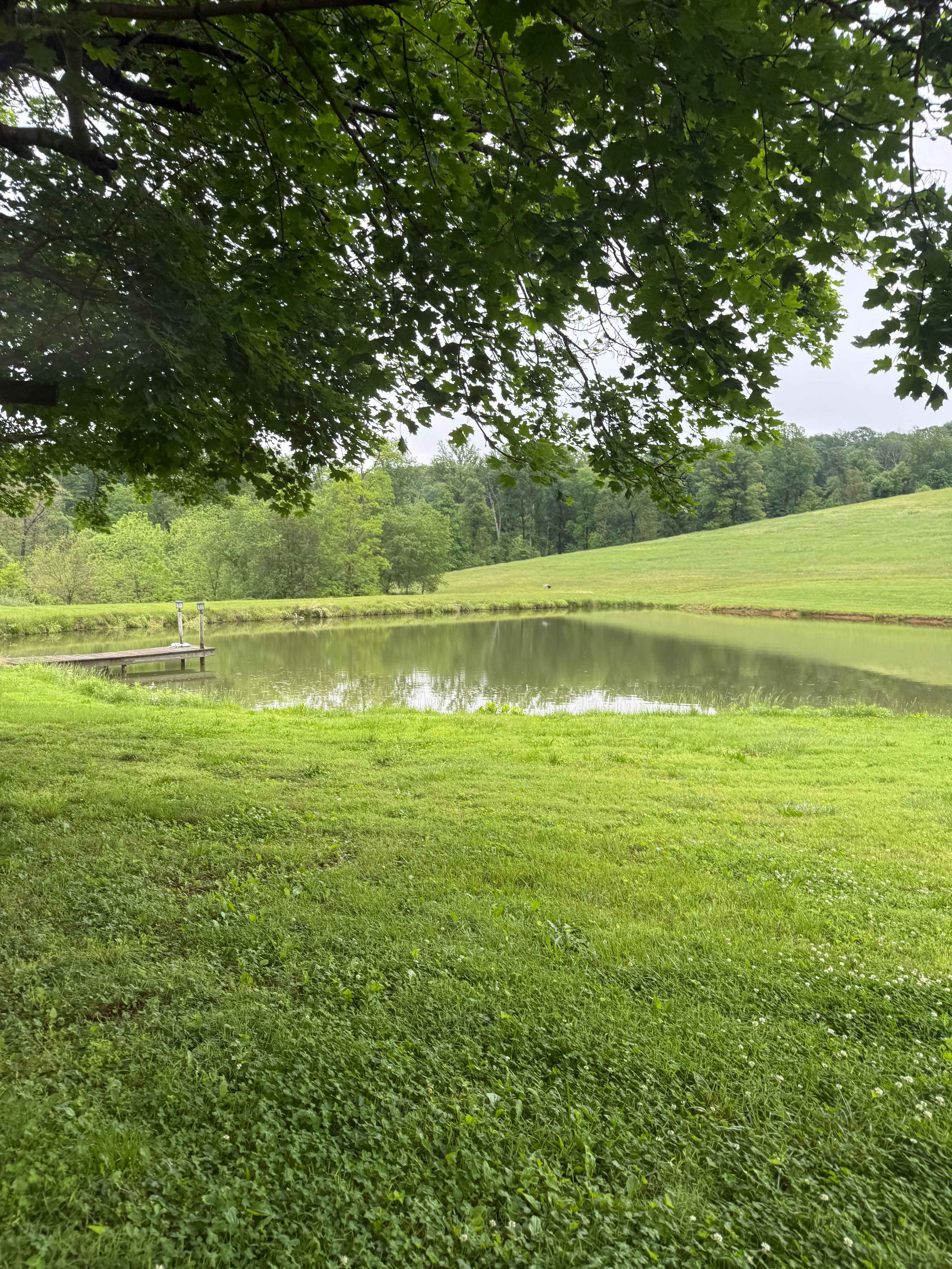Views of woods, pond, and sunrise