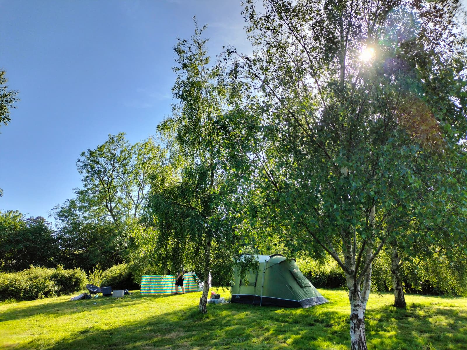 Plum Camping in May Tree Orchard