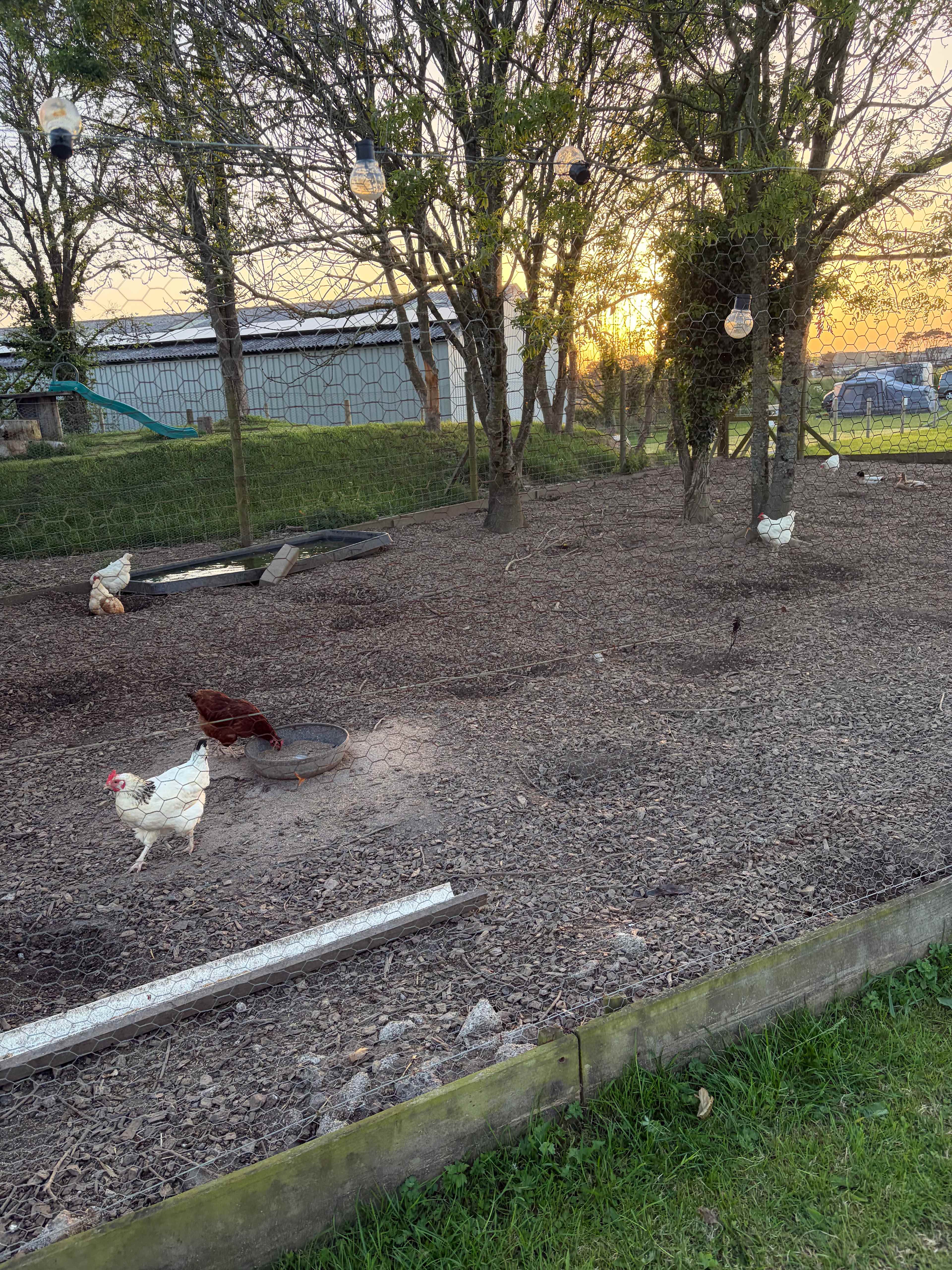 Lamarth Farm Campsite