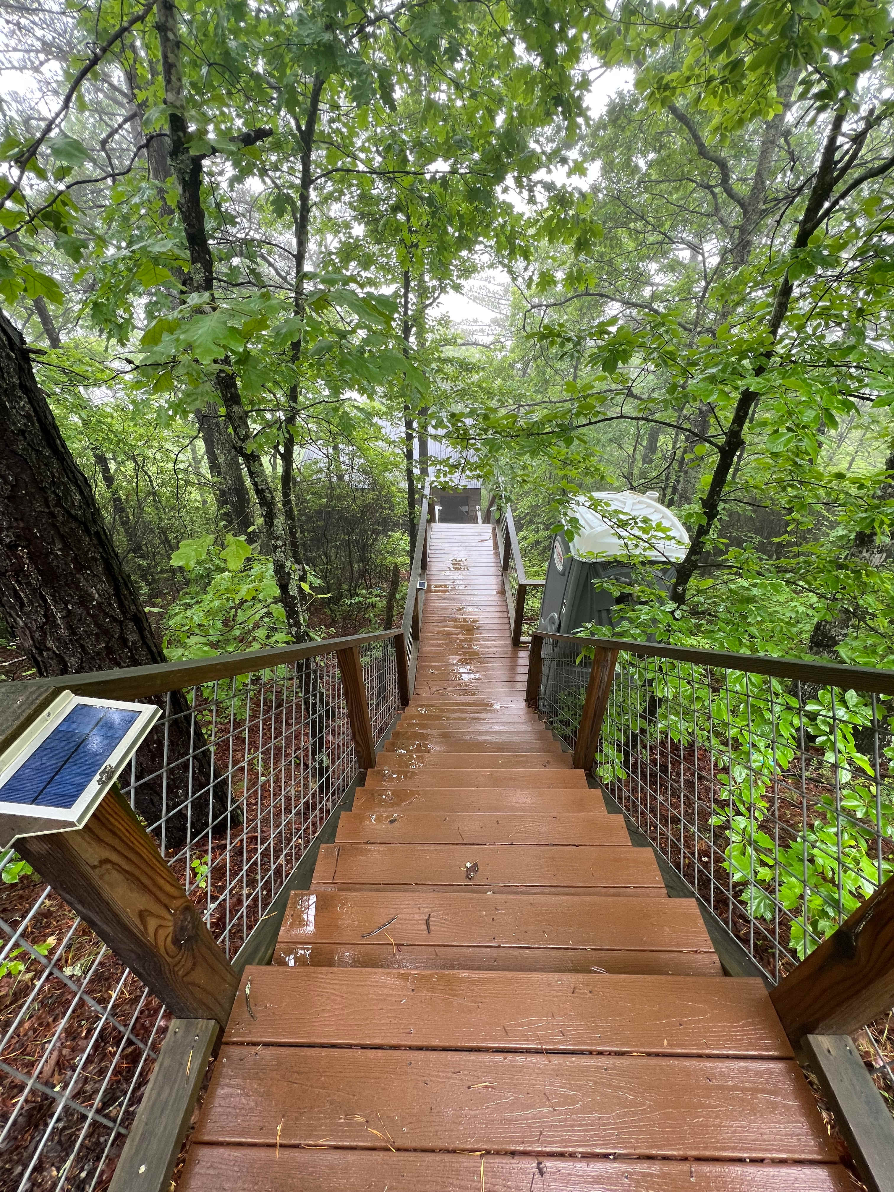 View from the top of the steps (where you will park and take the dogs for their potty time).