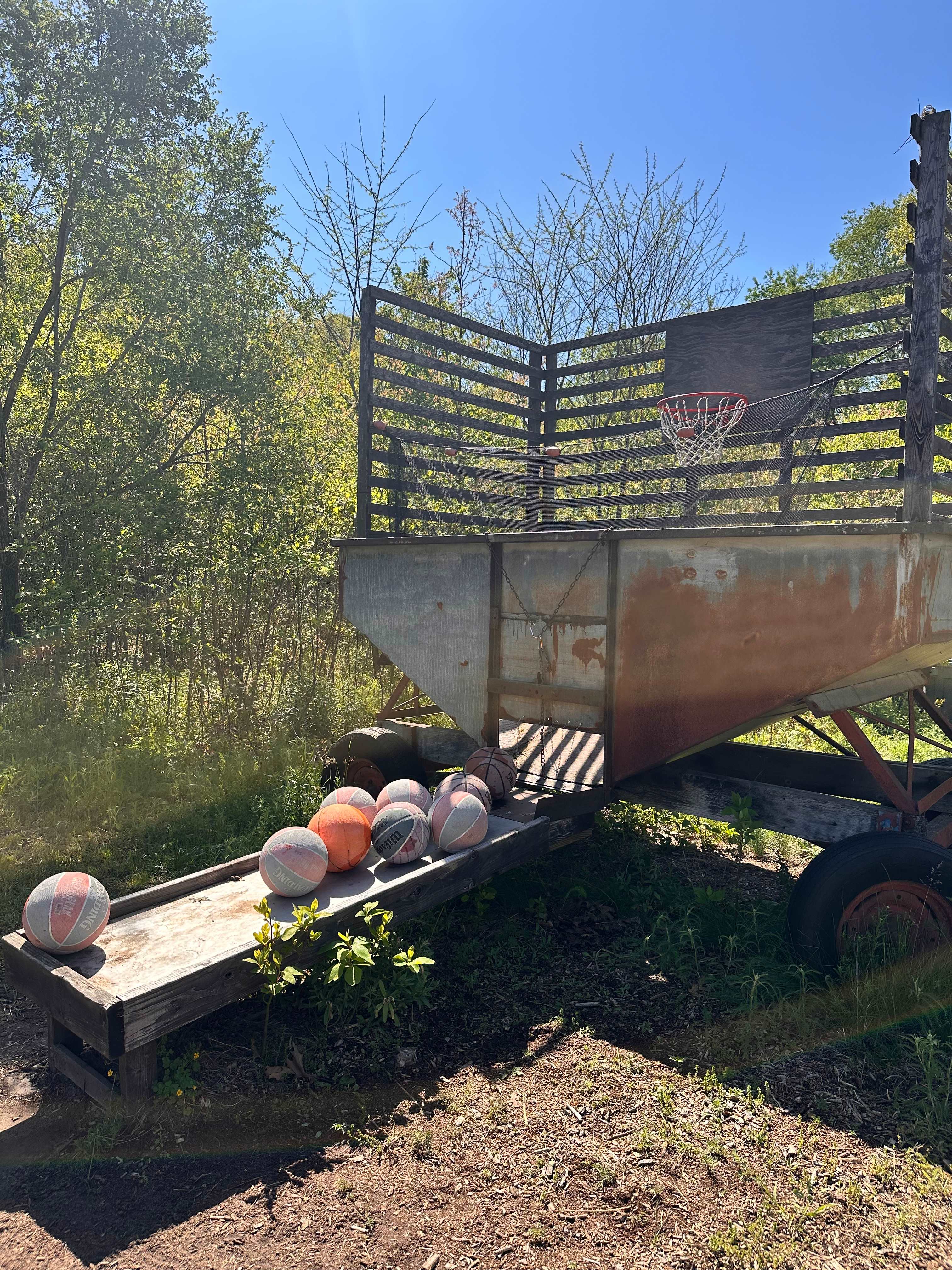 Blooming Bus Farms