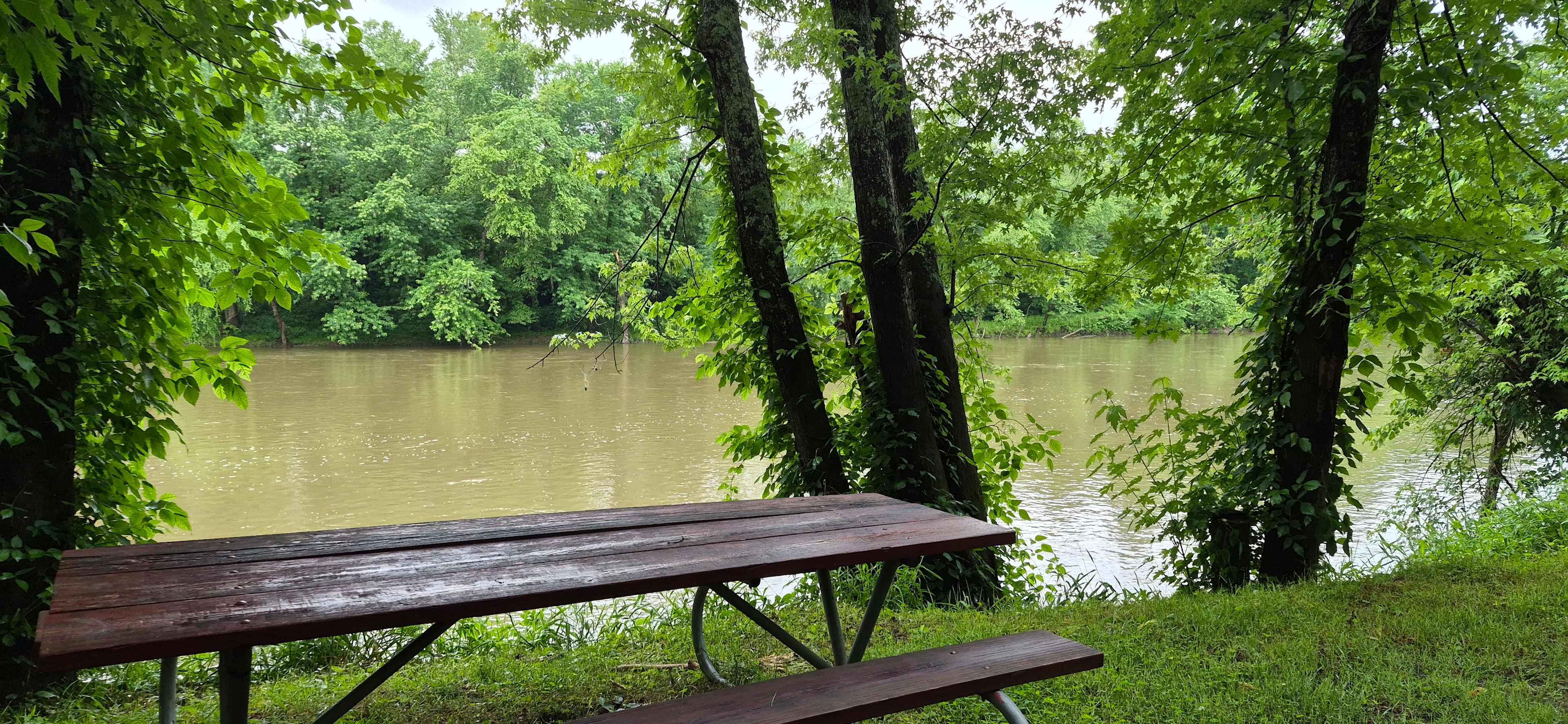 Tent site along the river