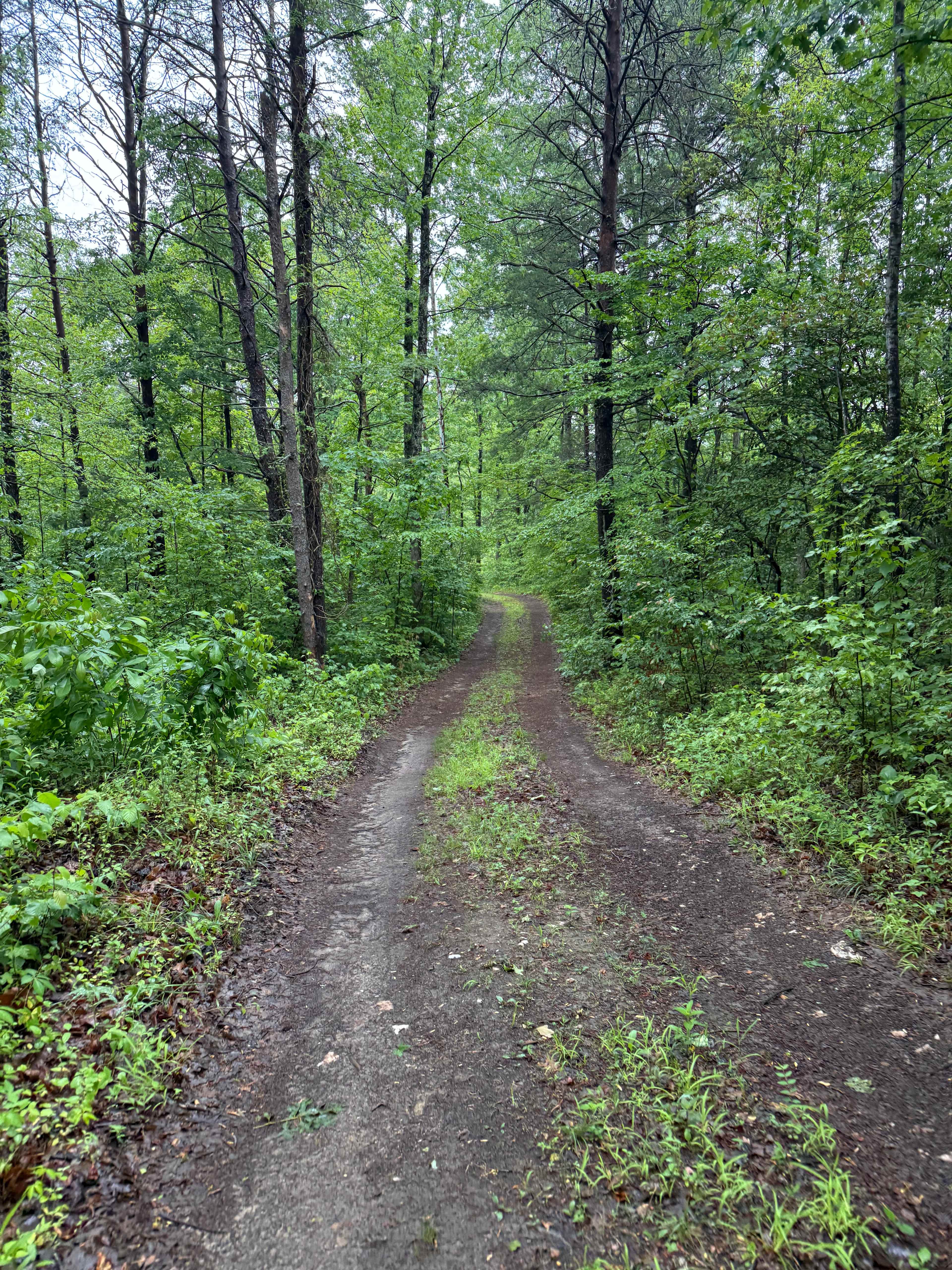 Road (highly recommend an all wheel drive car. Even my GMC had some trouble