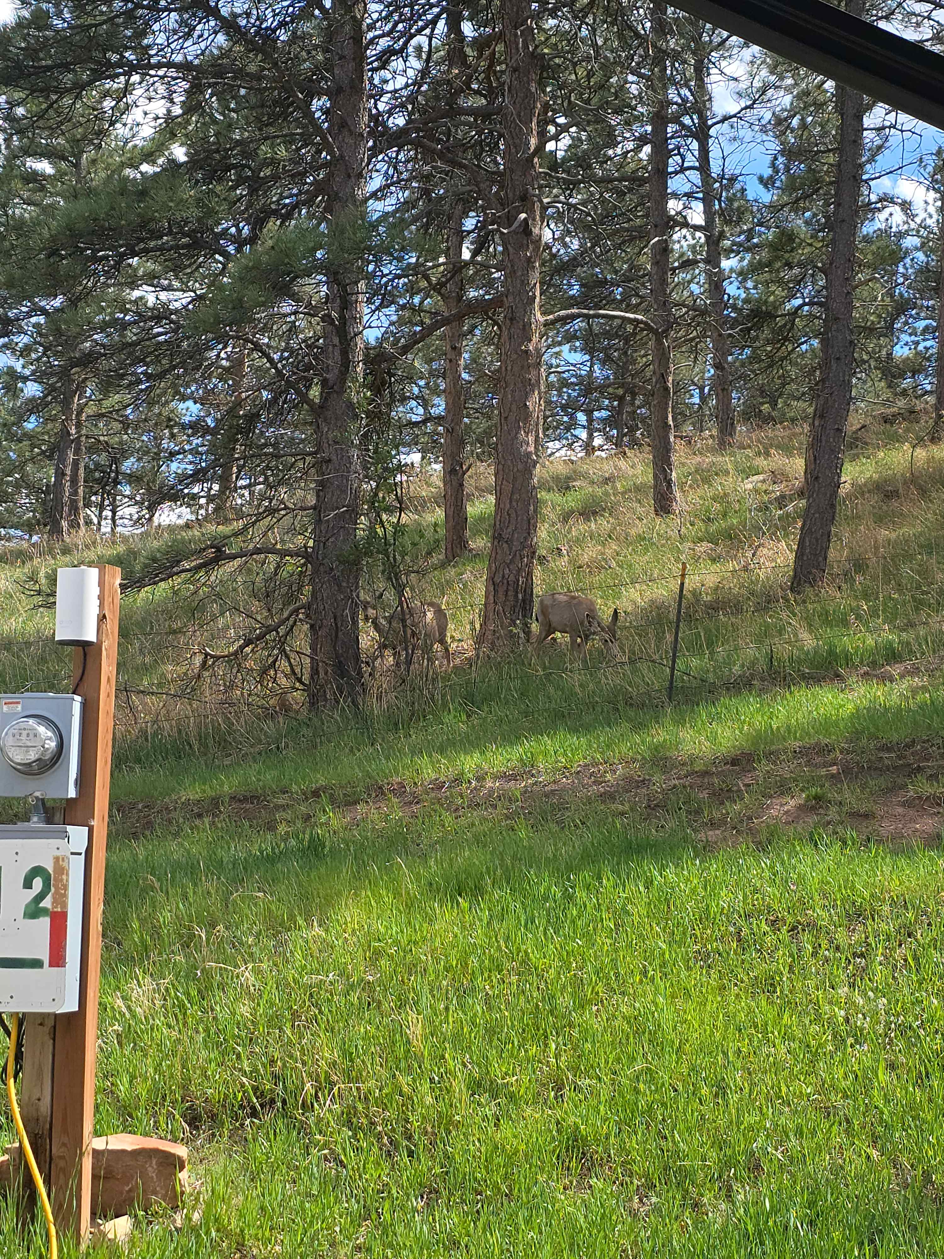 North Shore RV Park & General Store