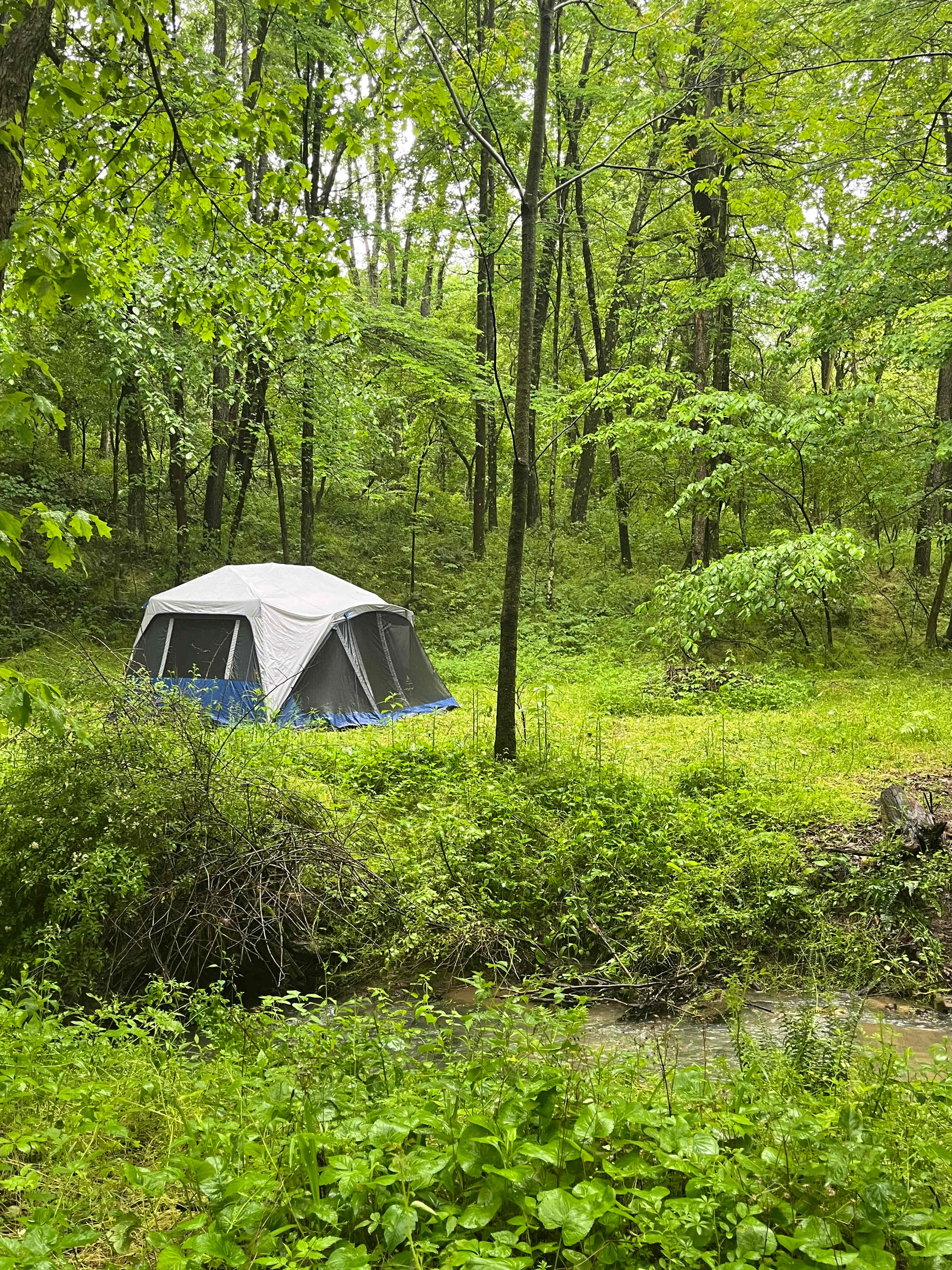 Tent camping site 