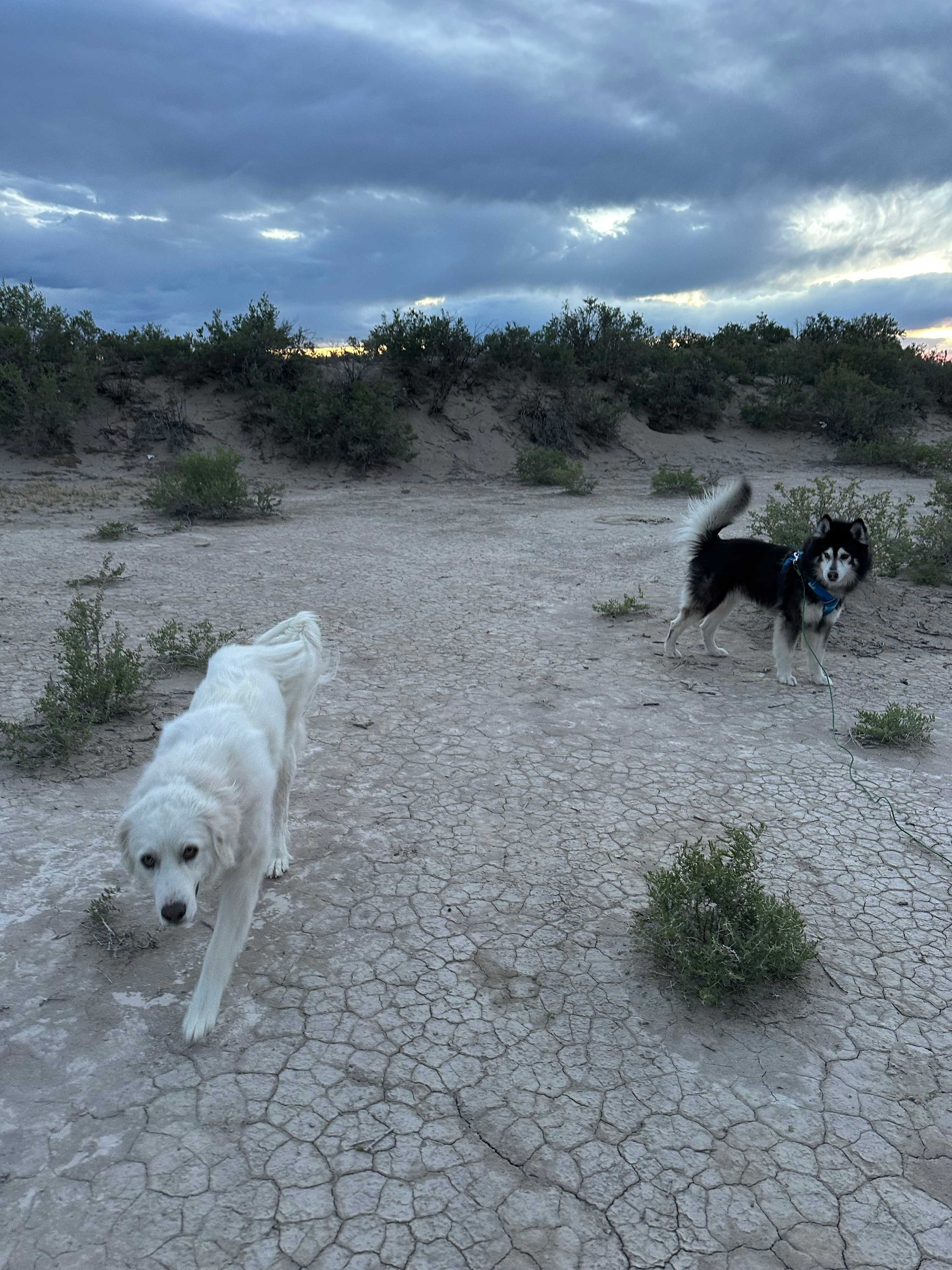 Rabbit Hole Ranch