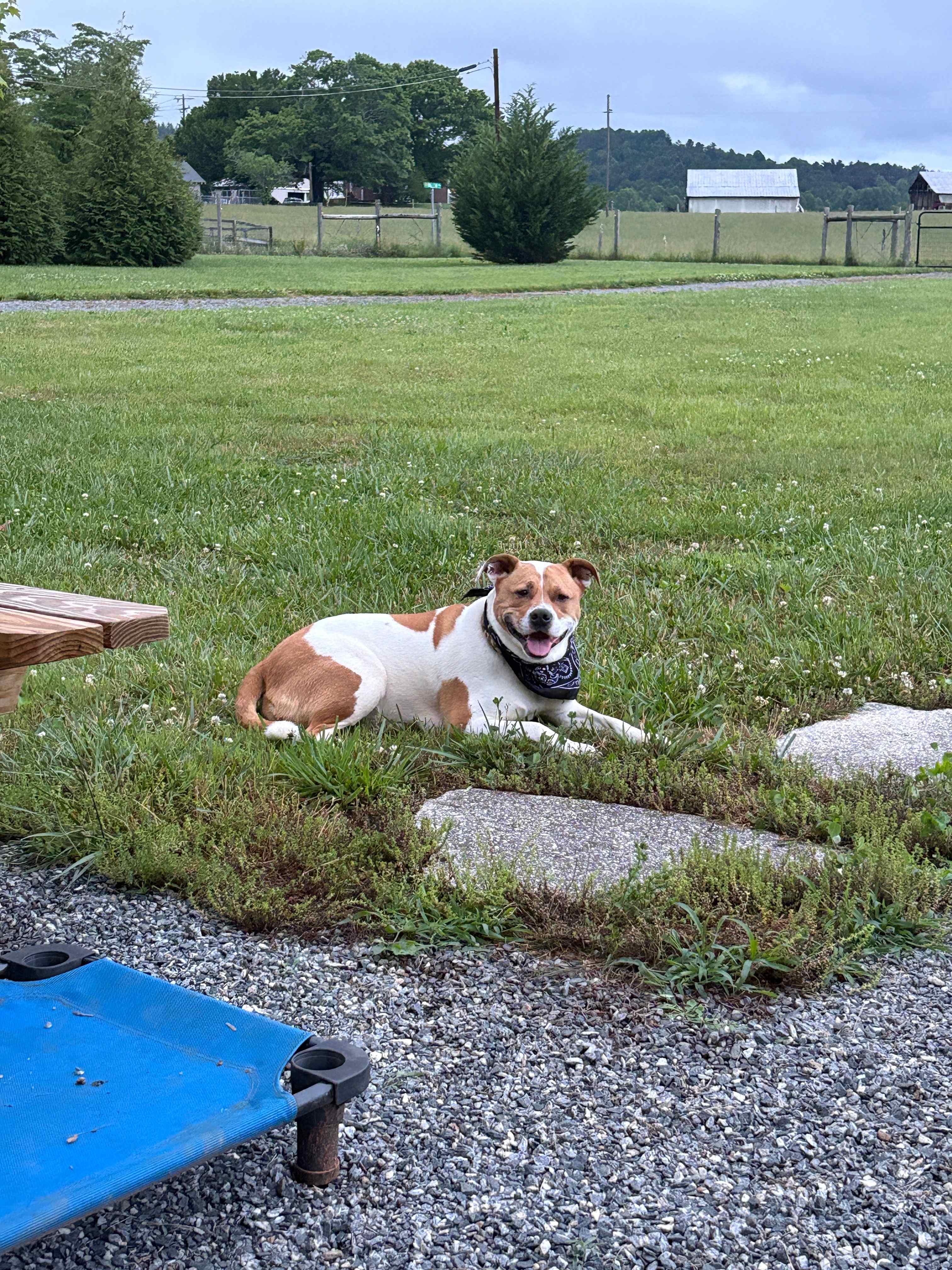 Bell’s Scenic RV Pasture
