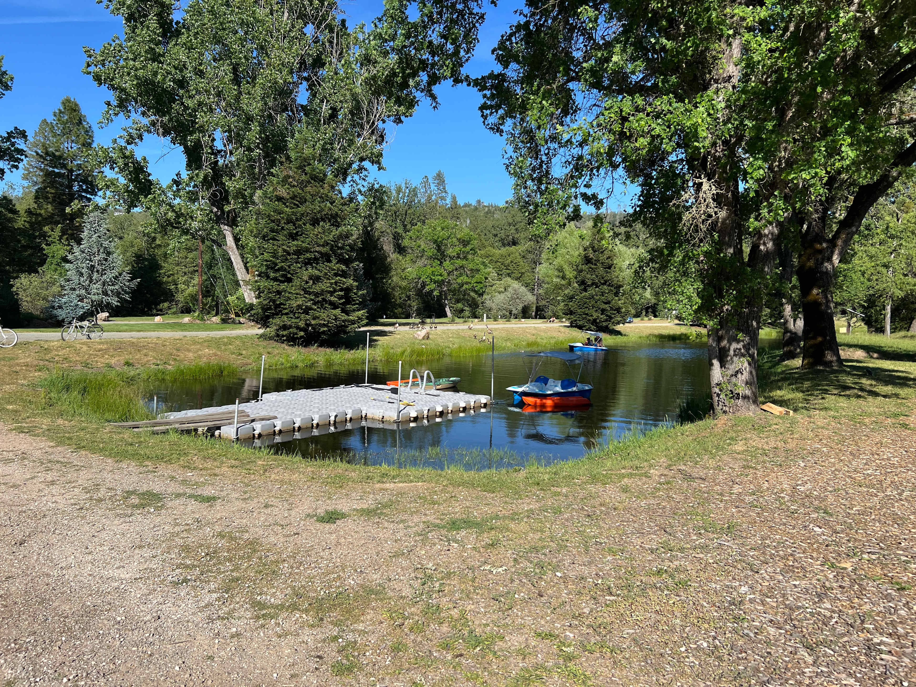 Boats to go out on pond 