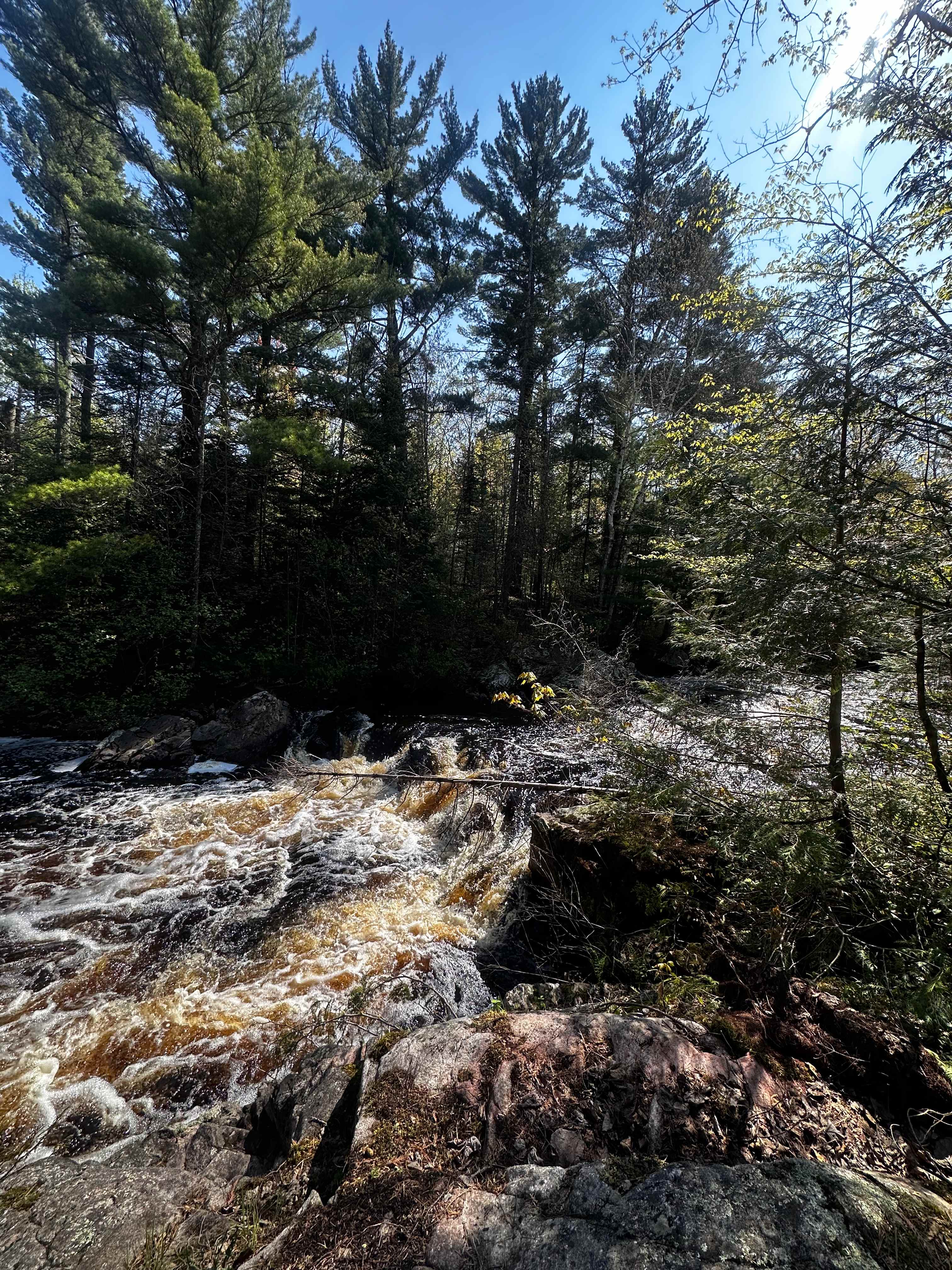 Bad River Wilderness