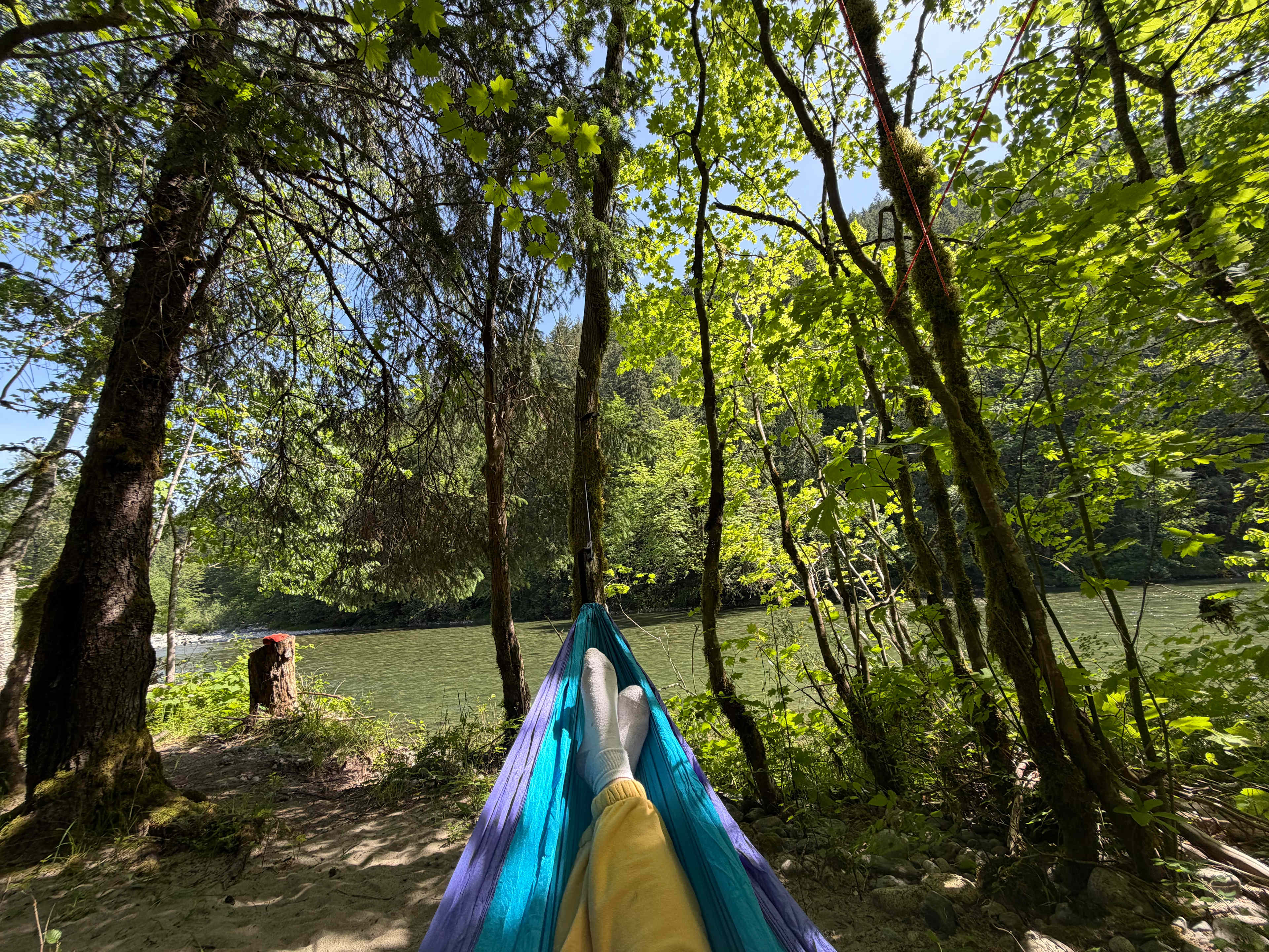 Forested with River Access/Firepit