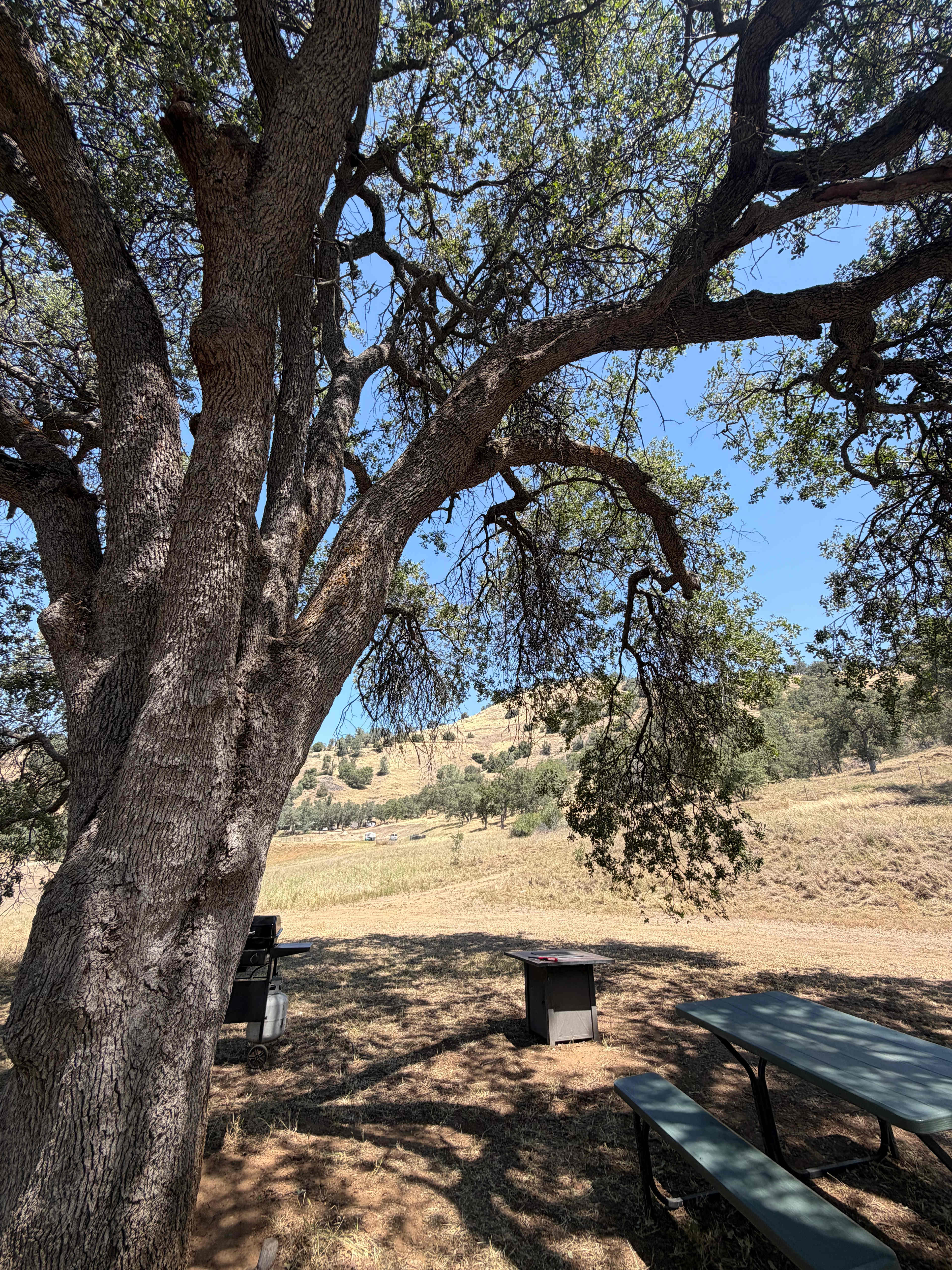 Ace's Yosemite Hide Out