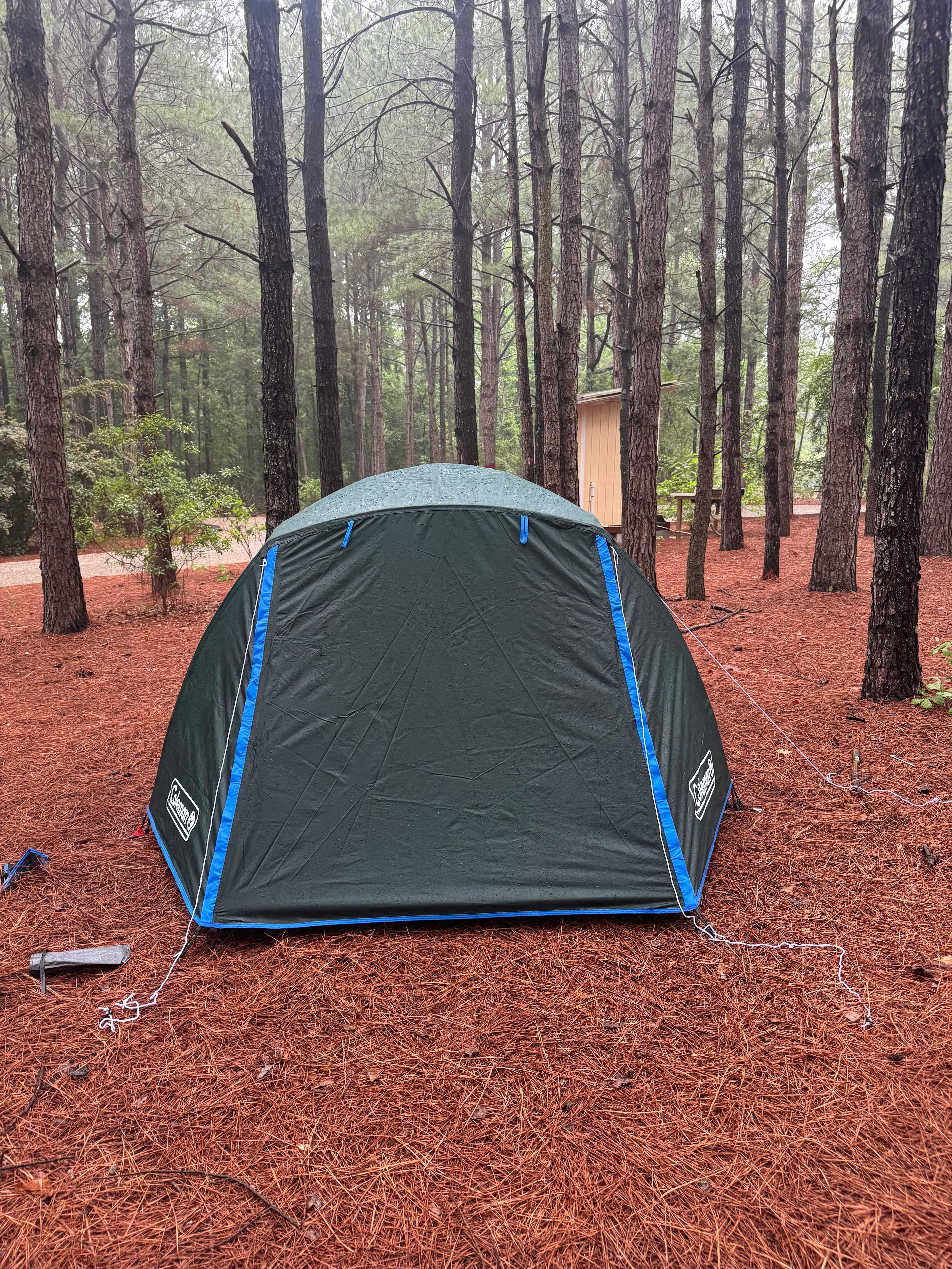 My tent set up in the beautiful area