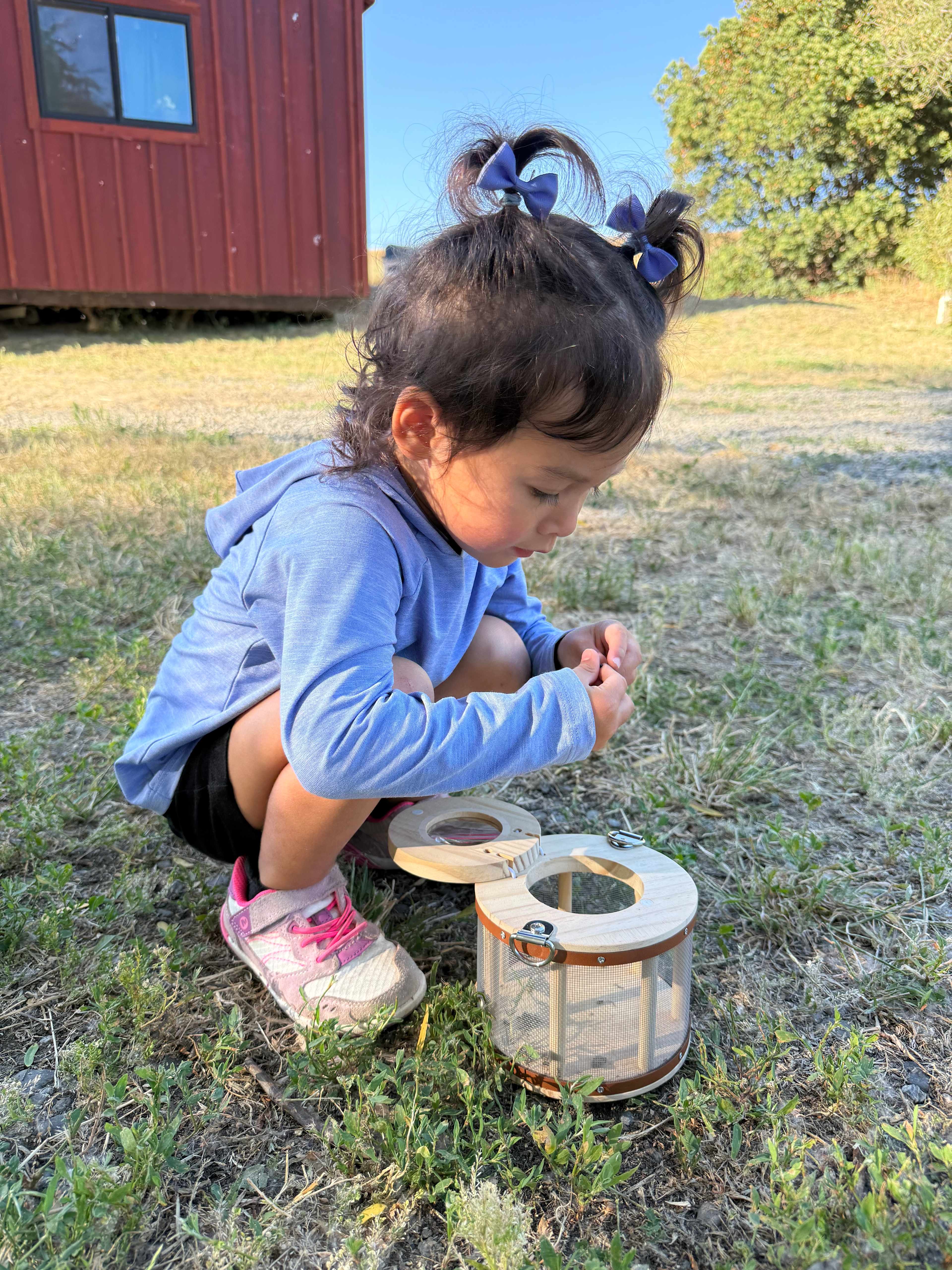 Finding bug friends